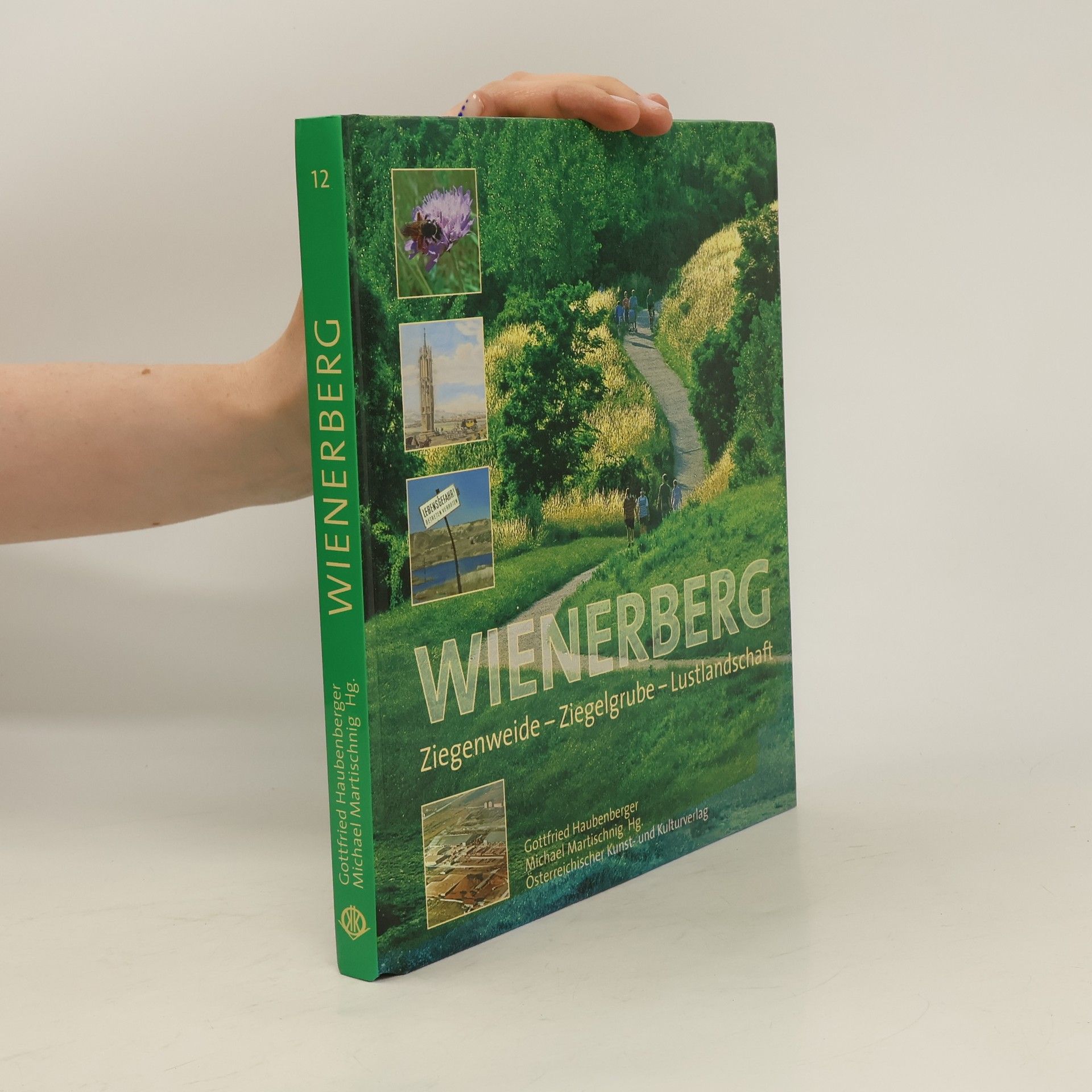 Gottfried Haubenberger Vom Wienerberg