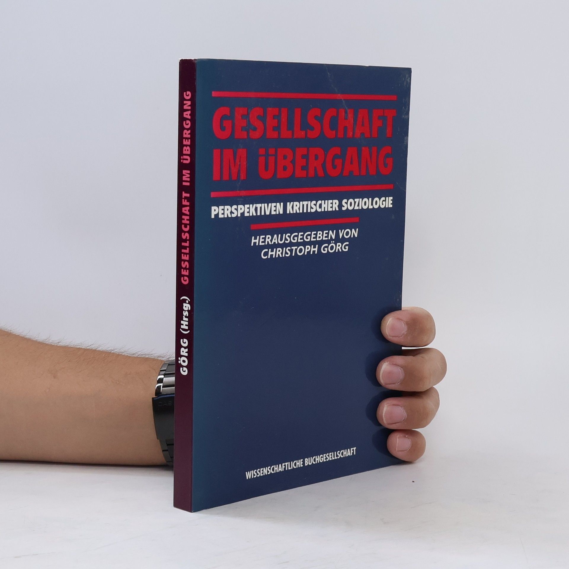 Christoph Görg Gesellschaft im Übergang