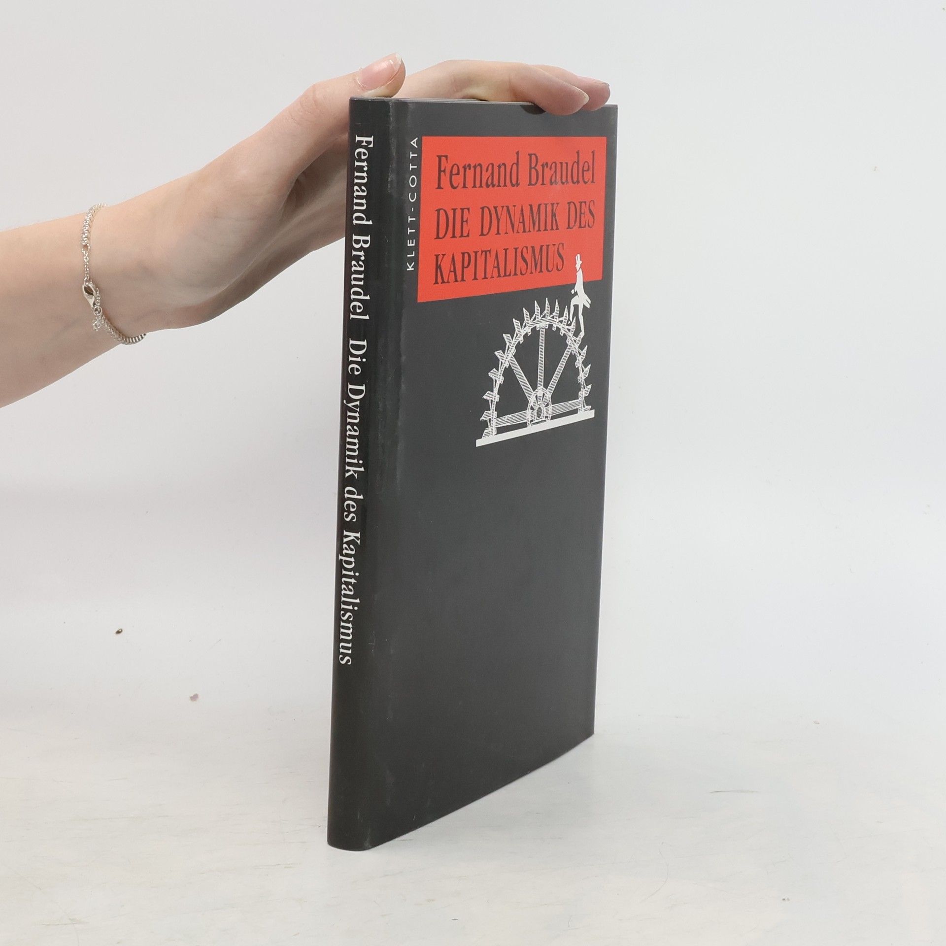Fernand Braudel Die Dynamik des Kapitalismus