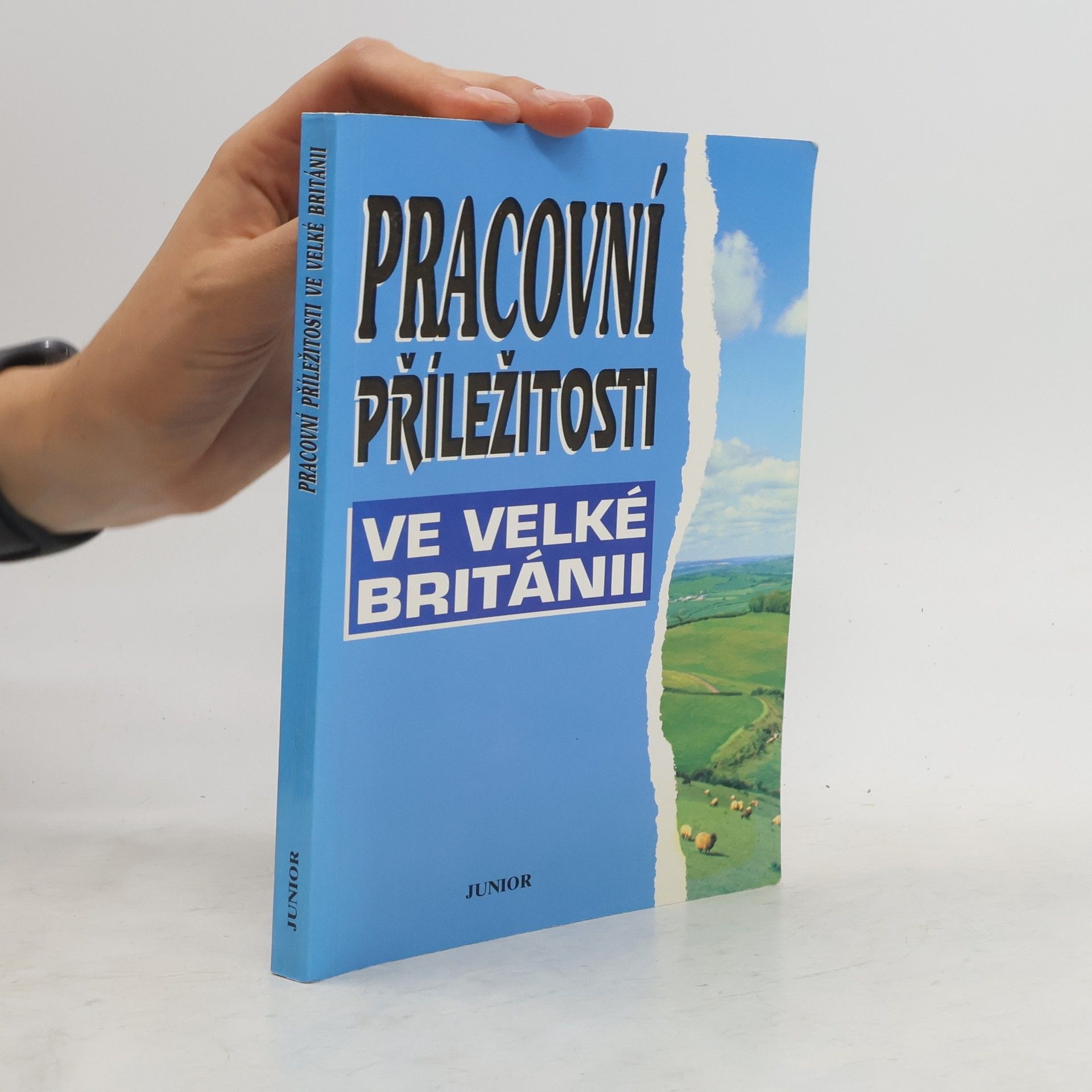 kolektiv Pracovní příležitosti ve Velké Británii