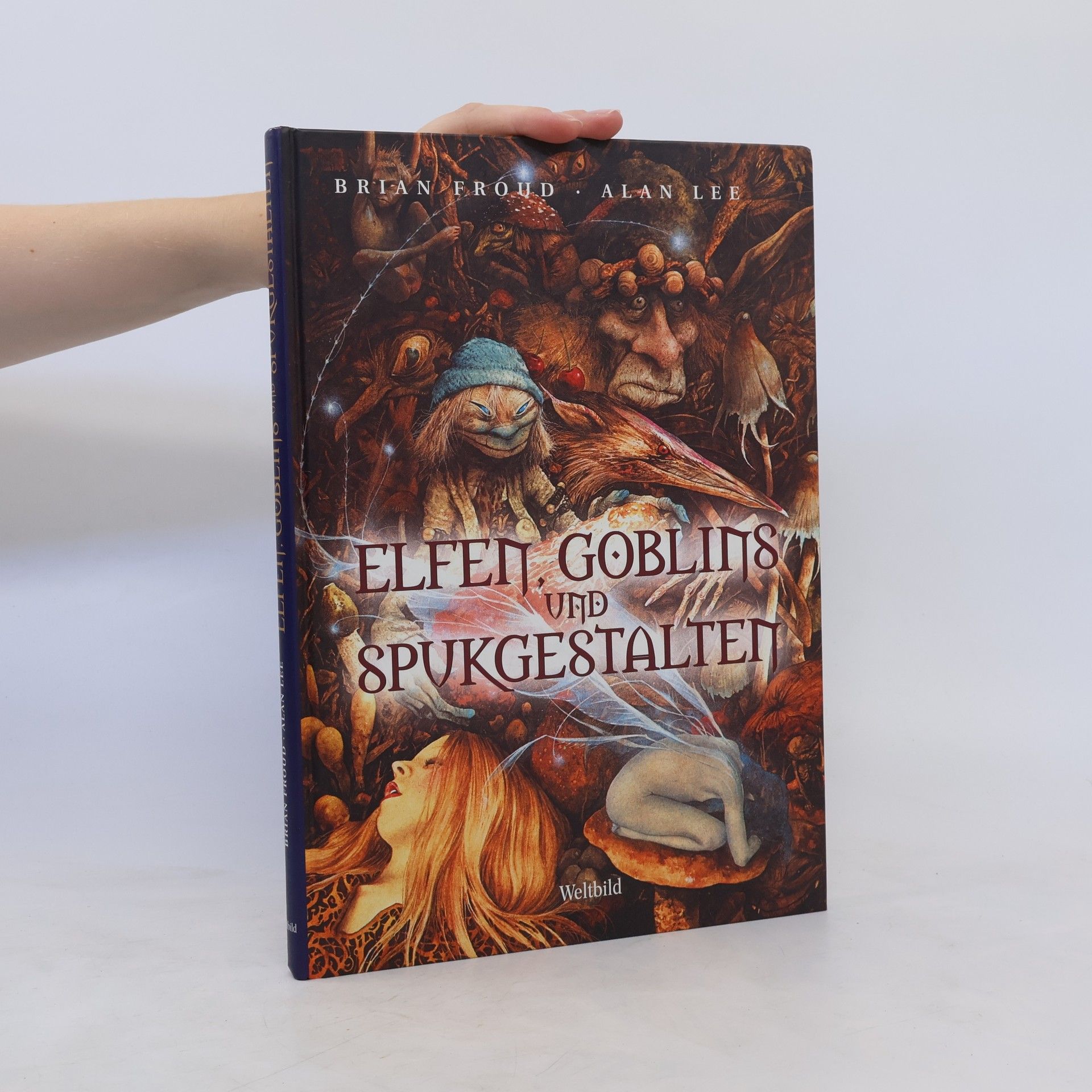 Brian Froud Elfen, Gobelins und Spukgestalten