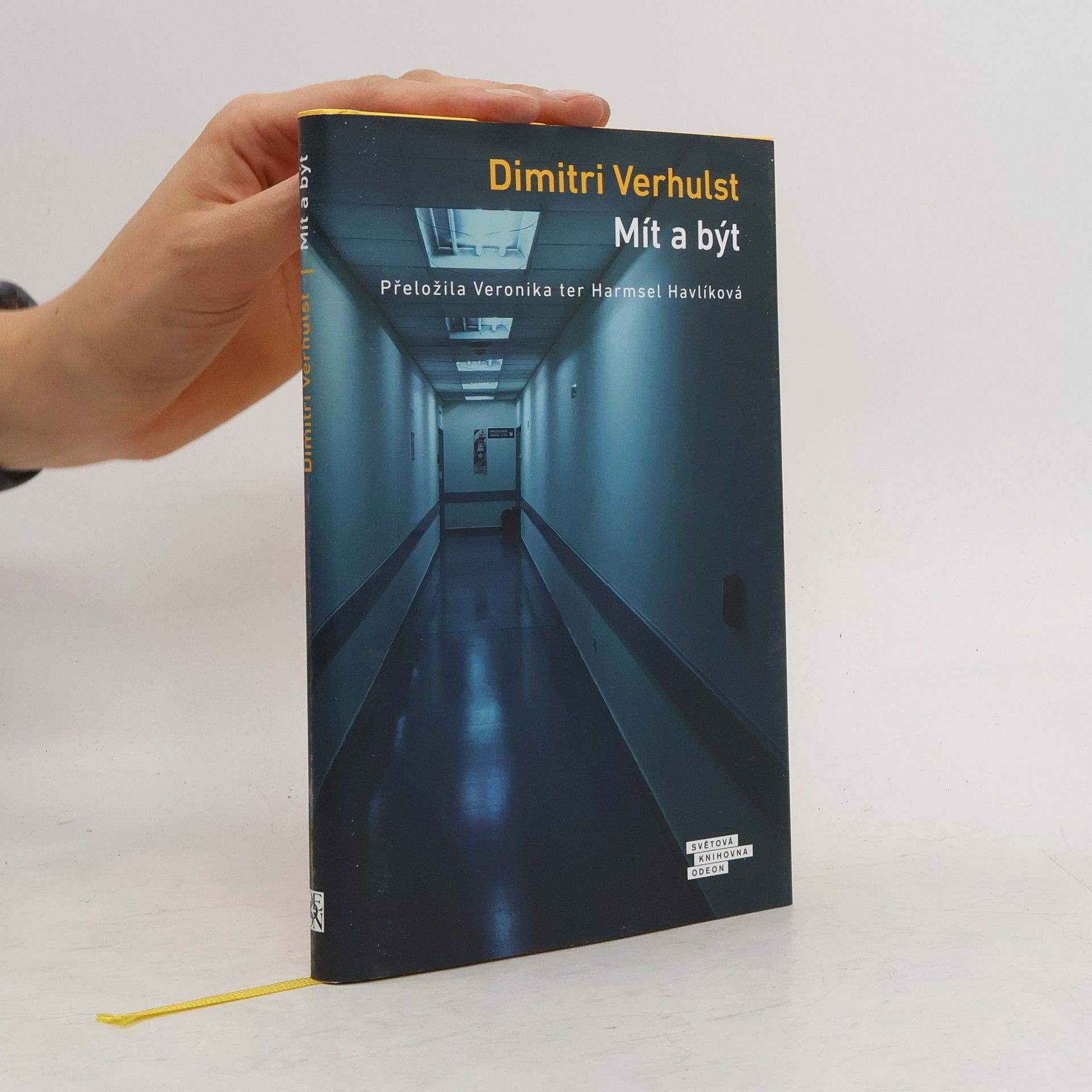 Dimitri Verhulst Mít a být