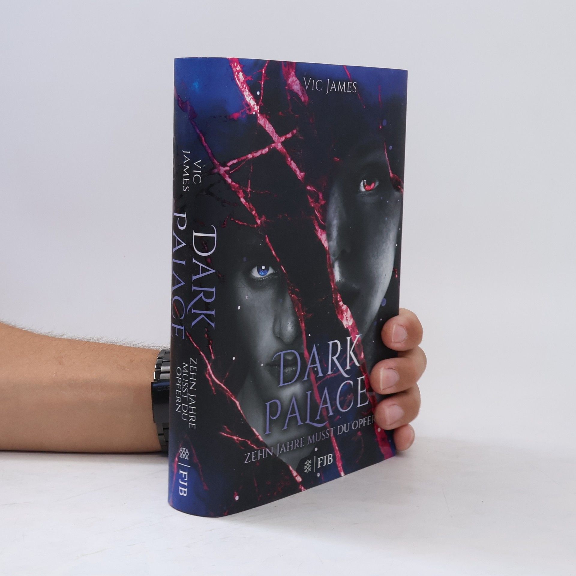Vic James Dark palace - zehn Jahre musst du opfern
