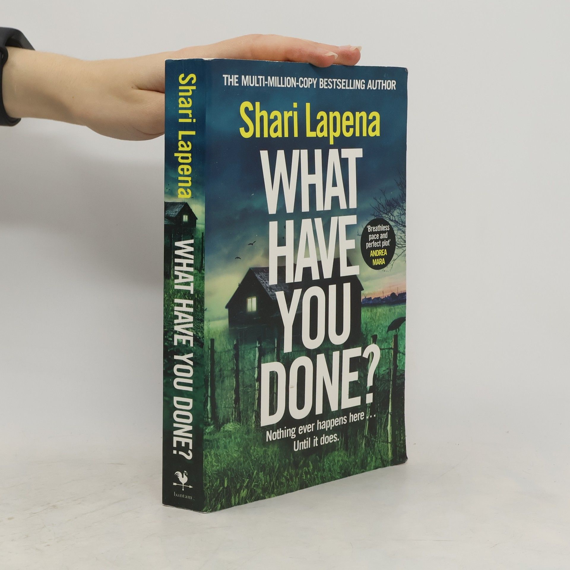 Shari Lapena What Have You Done?: The addictive and haunting new thriller from the Richard & Judy bestselling author
