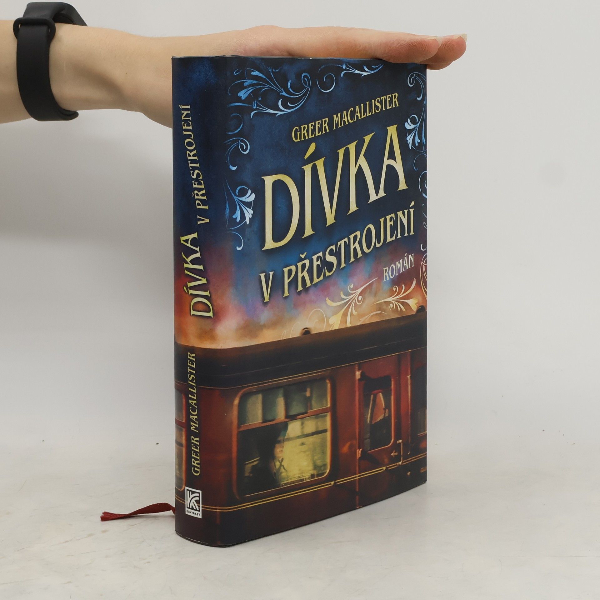 Greer Macallister Dívka v přestrojení
