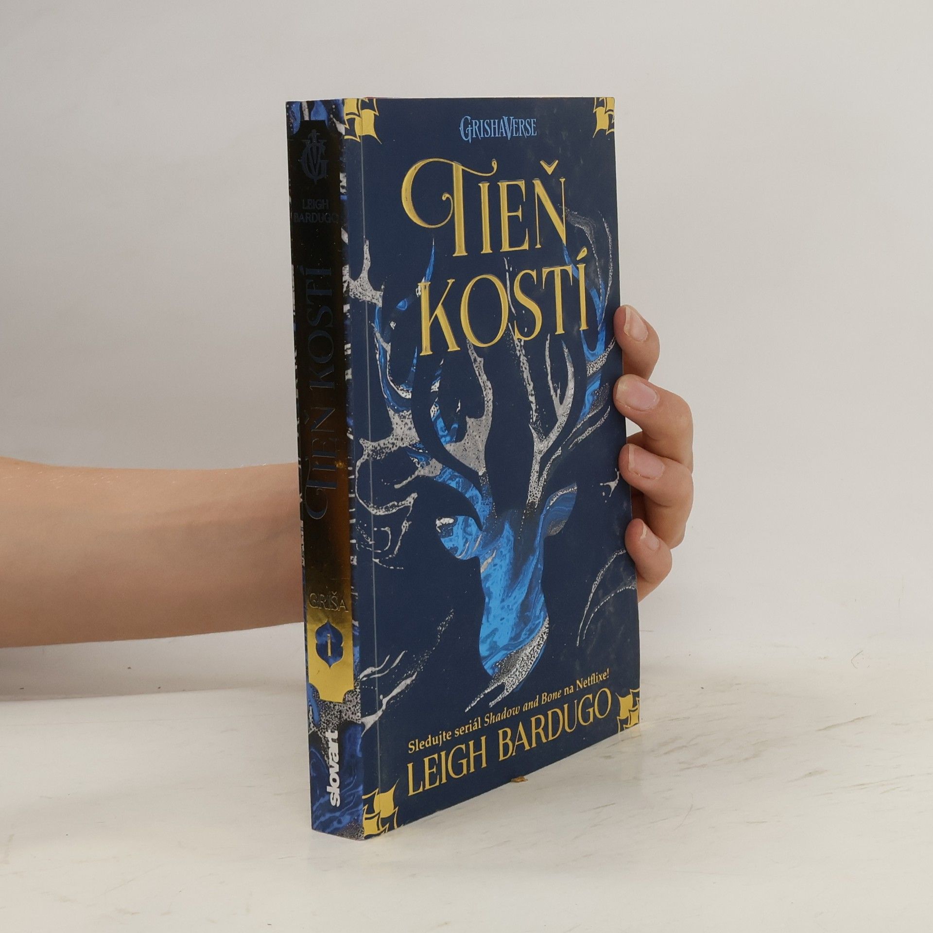 Leigh Bardugo Tieň kostí