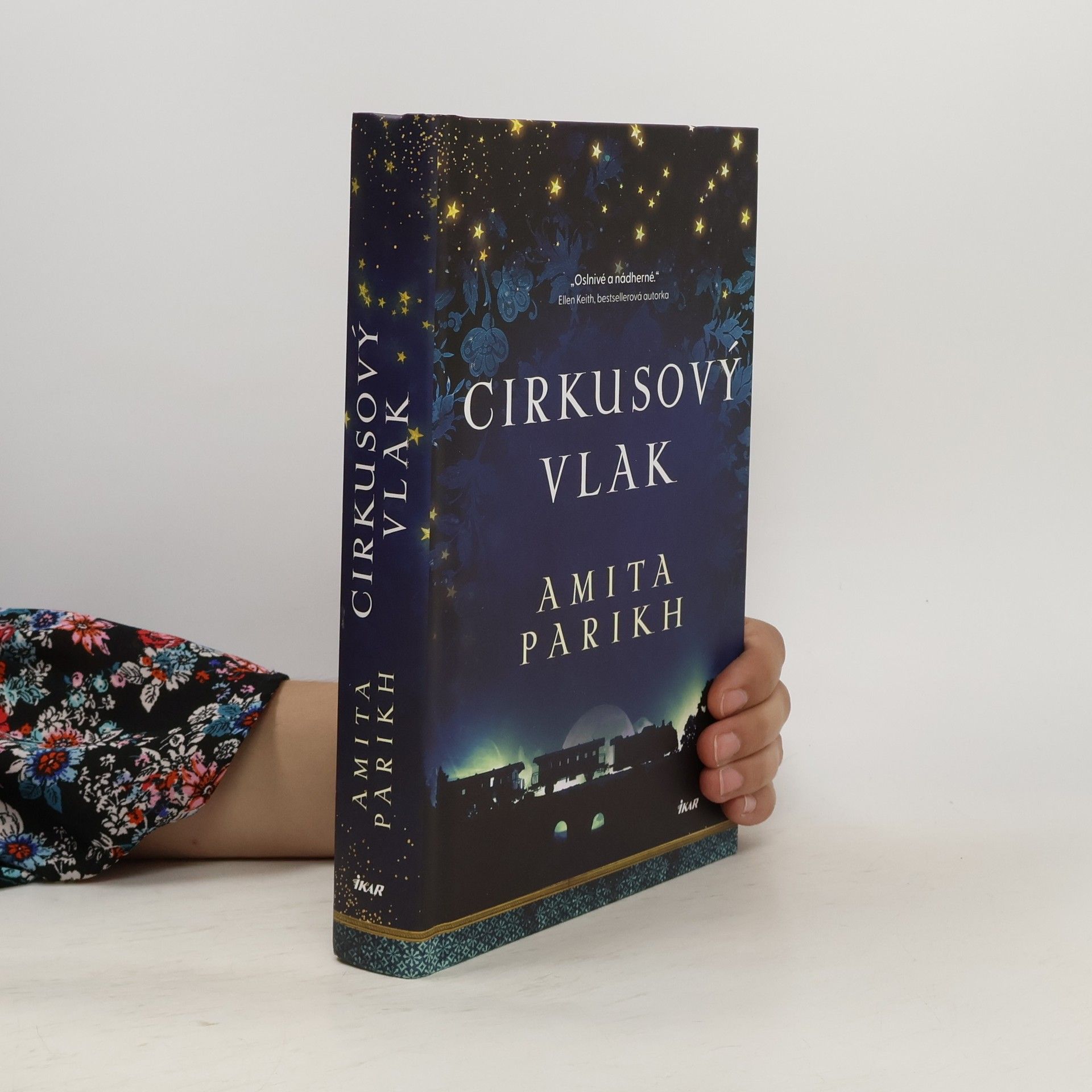 Amita Parikh Cirkusový vlak