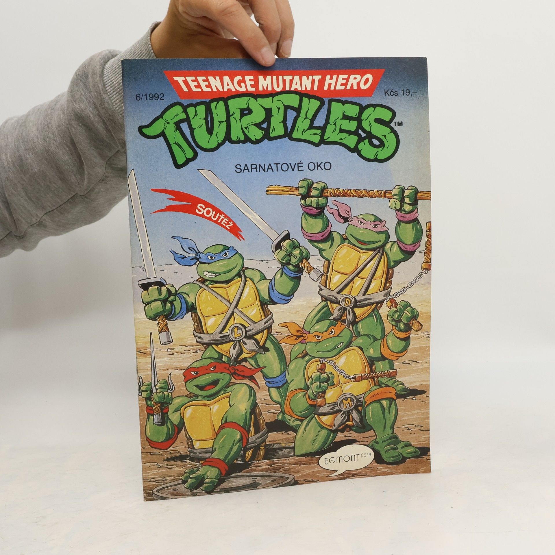 Beth Mitchroney Teenage Mutant Hero Turtles #06