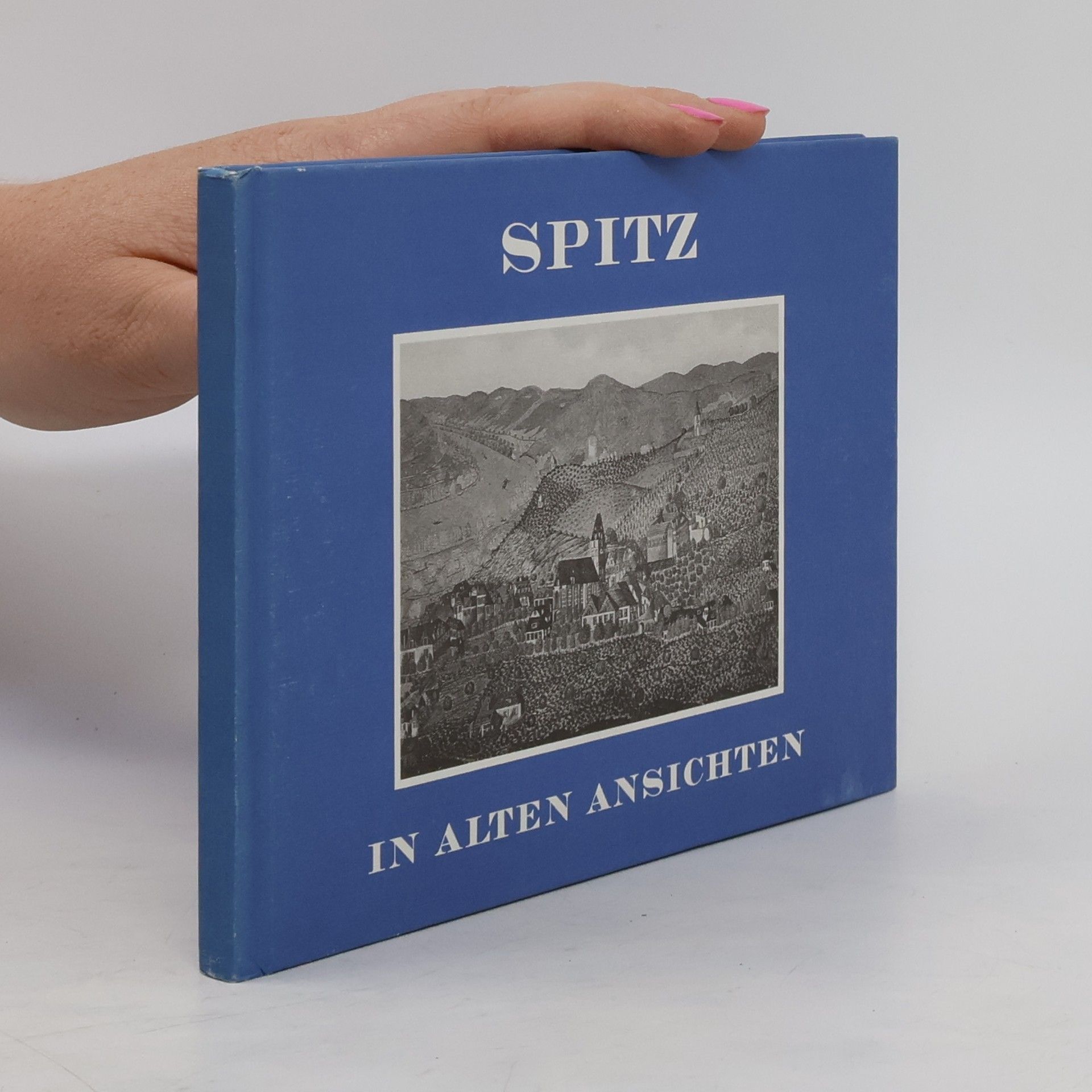 Autorenkollektiv Spitz. In alten Ansichten