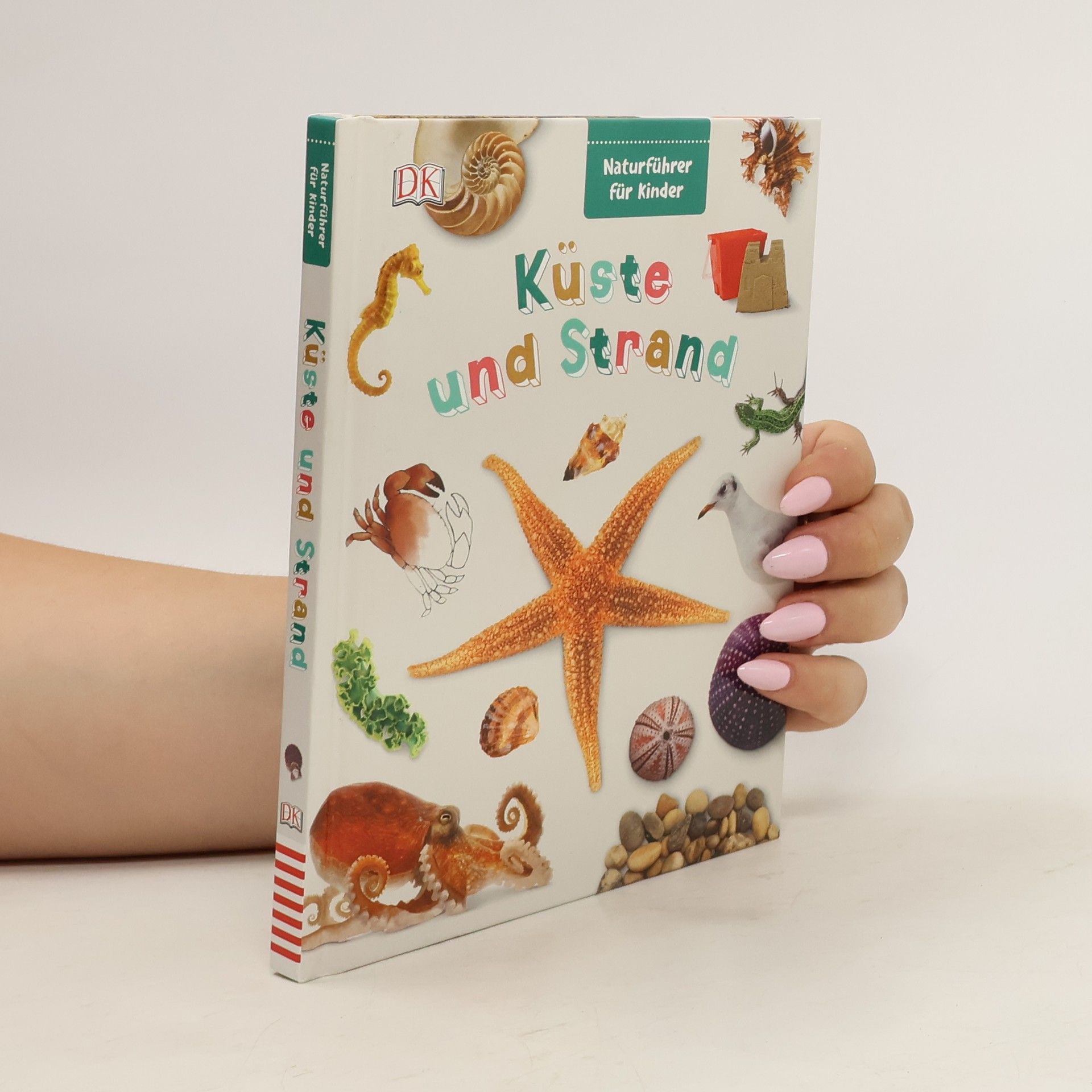 David Burnie Küste und Strand