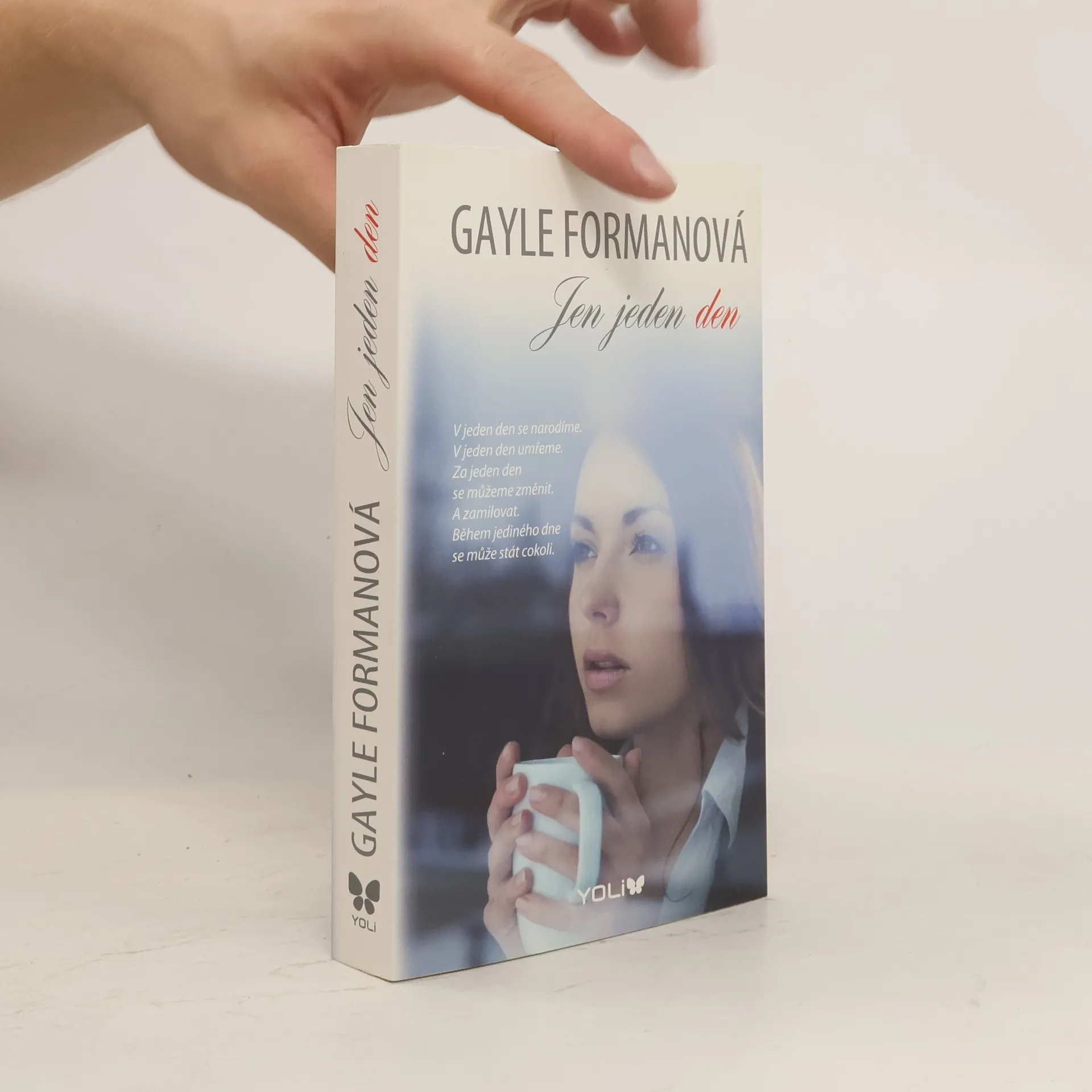 Jen jeden den | Kniha | Gayle Forman | CS
