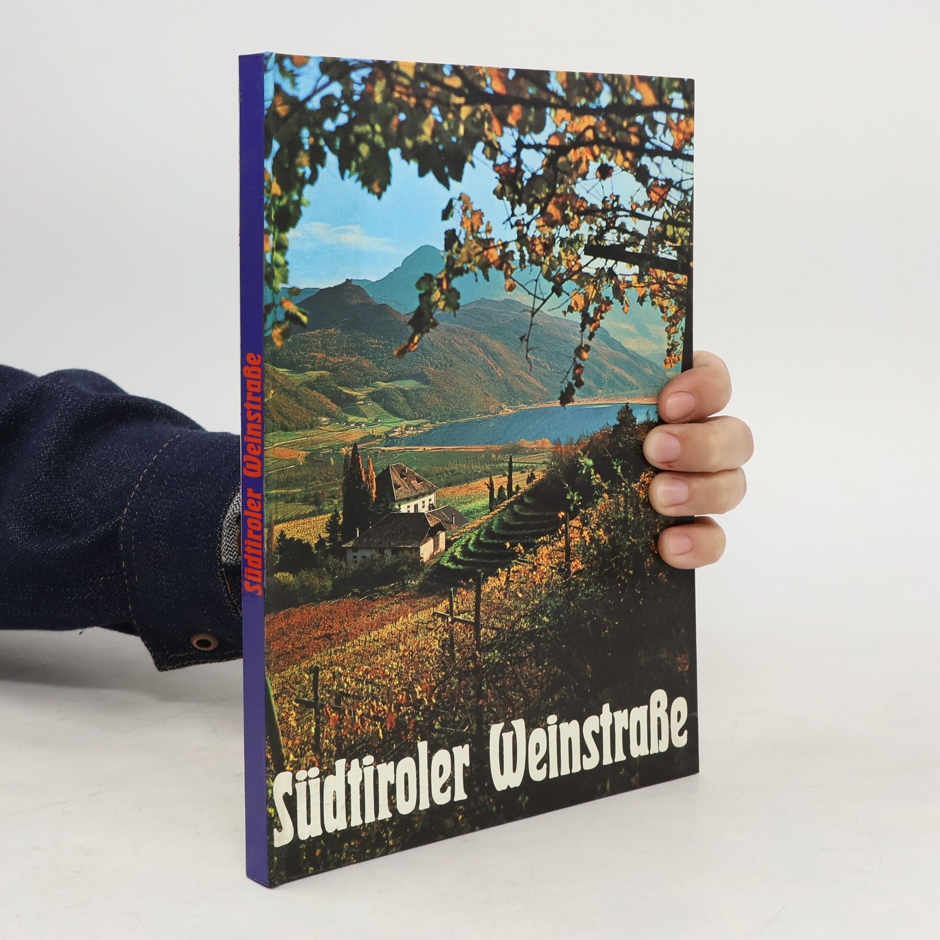 Gunther Langes Südtiroler Weinstrasse