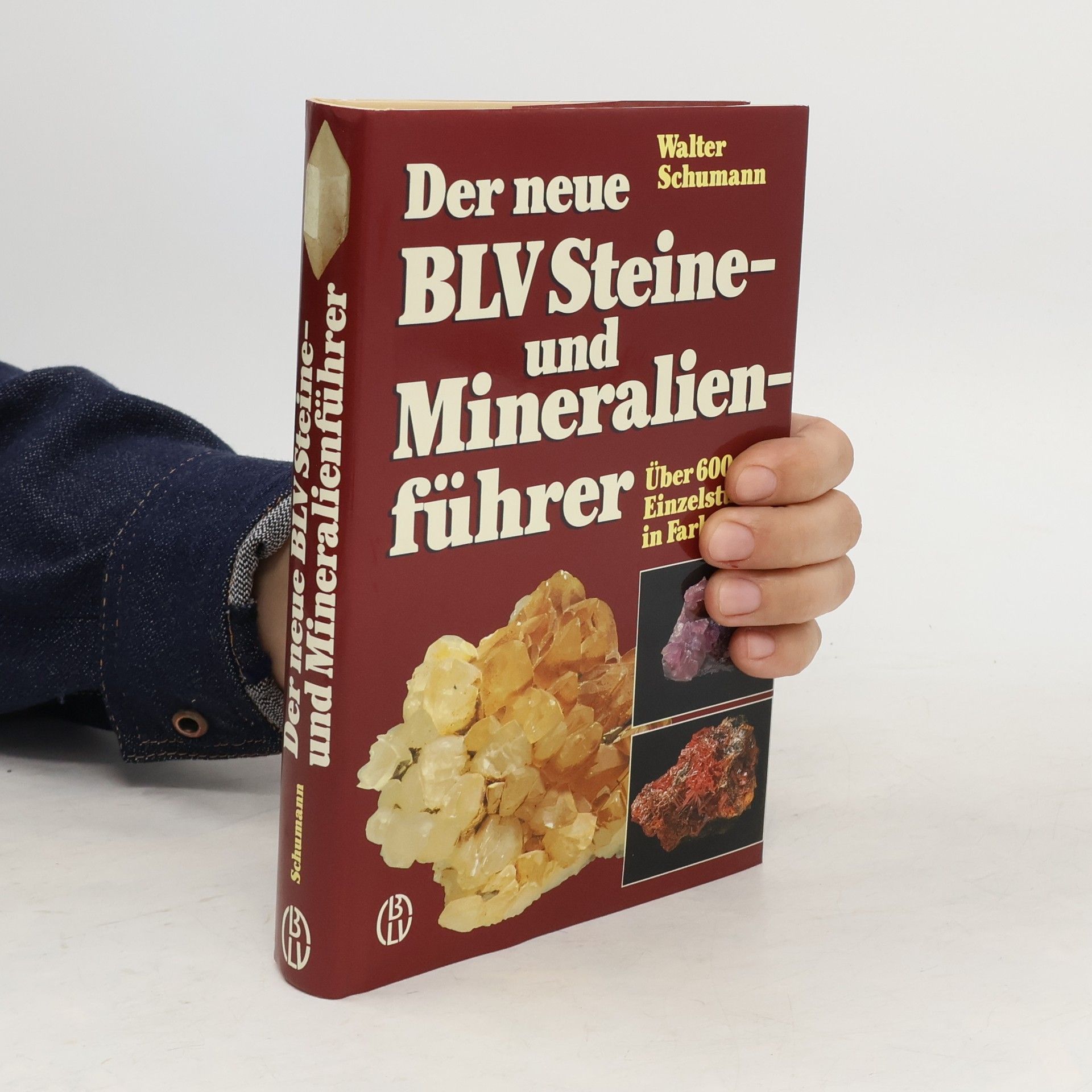 Walter Schumann Der neue BLV-Steine- und Mineralienführer
