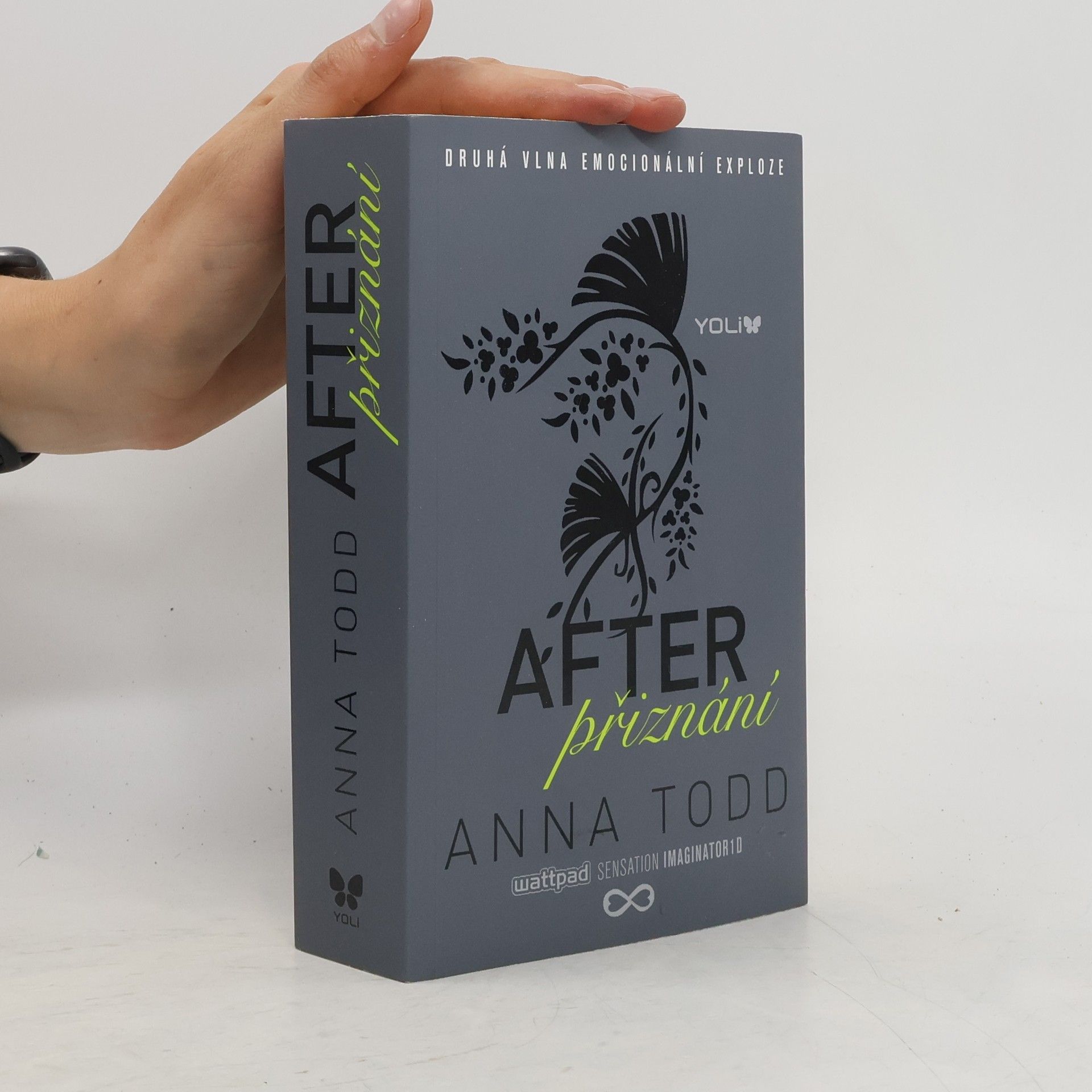 Anna Todd After. Přiznání