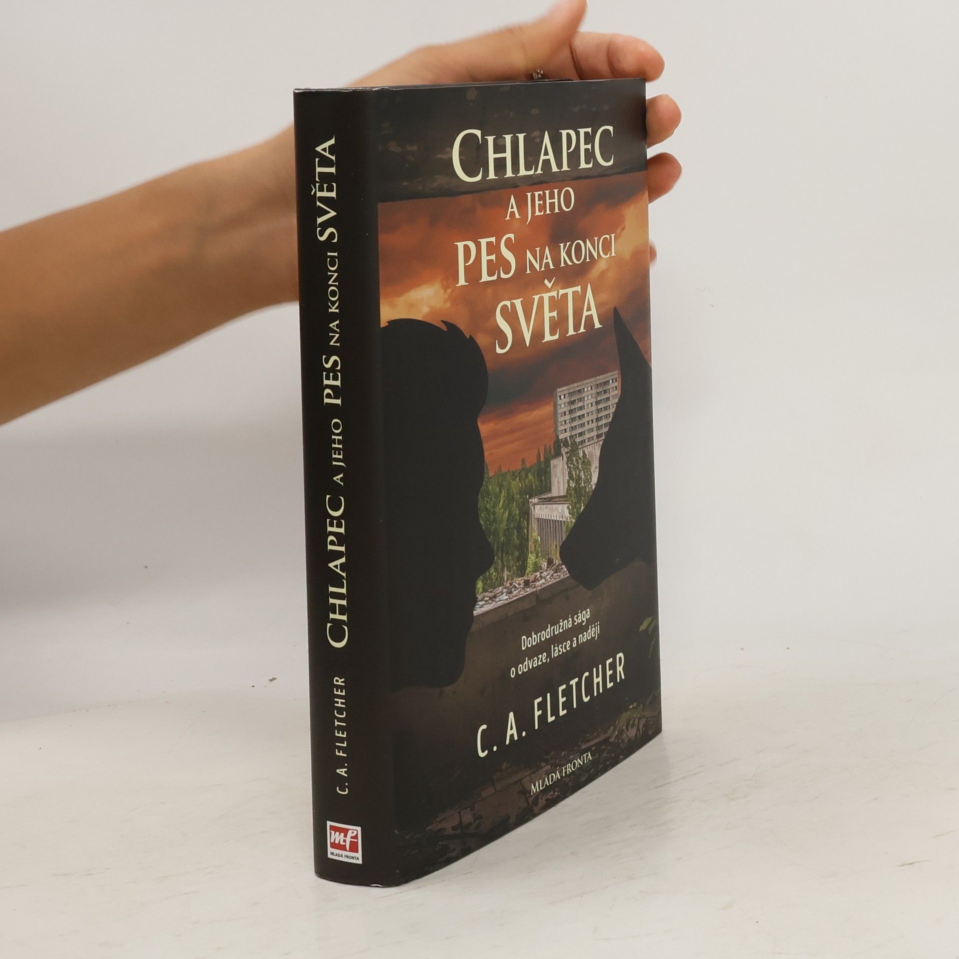 Charlie Fletcher Chlapec a jeho pes na konci světa