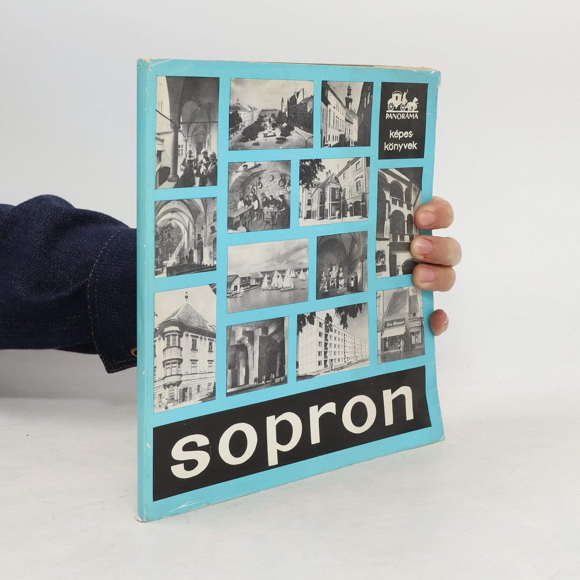 Endre Csatkai Sopron