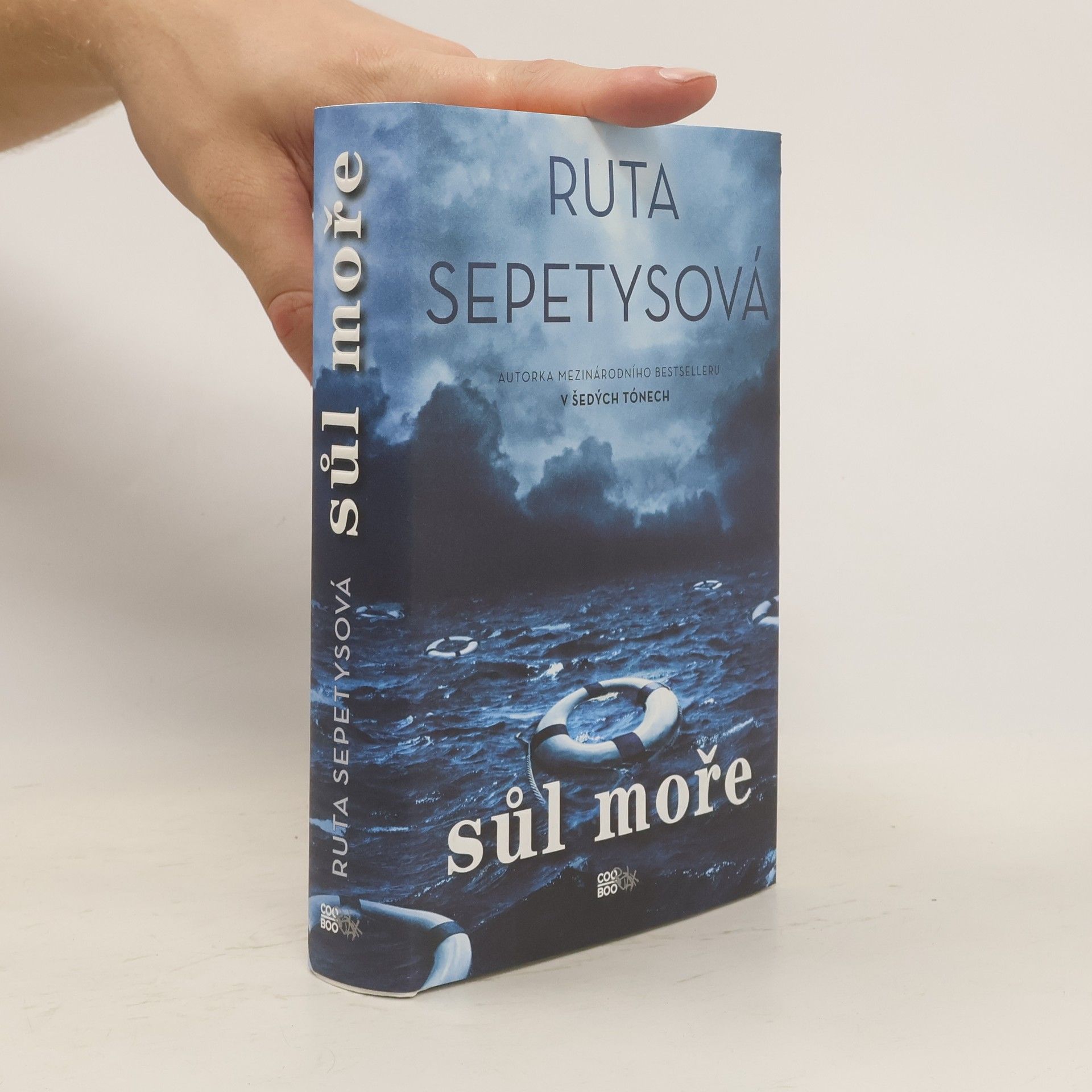 Ruta Sepetys Sůl moře