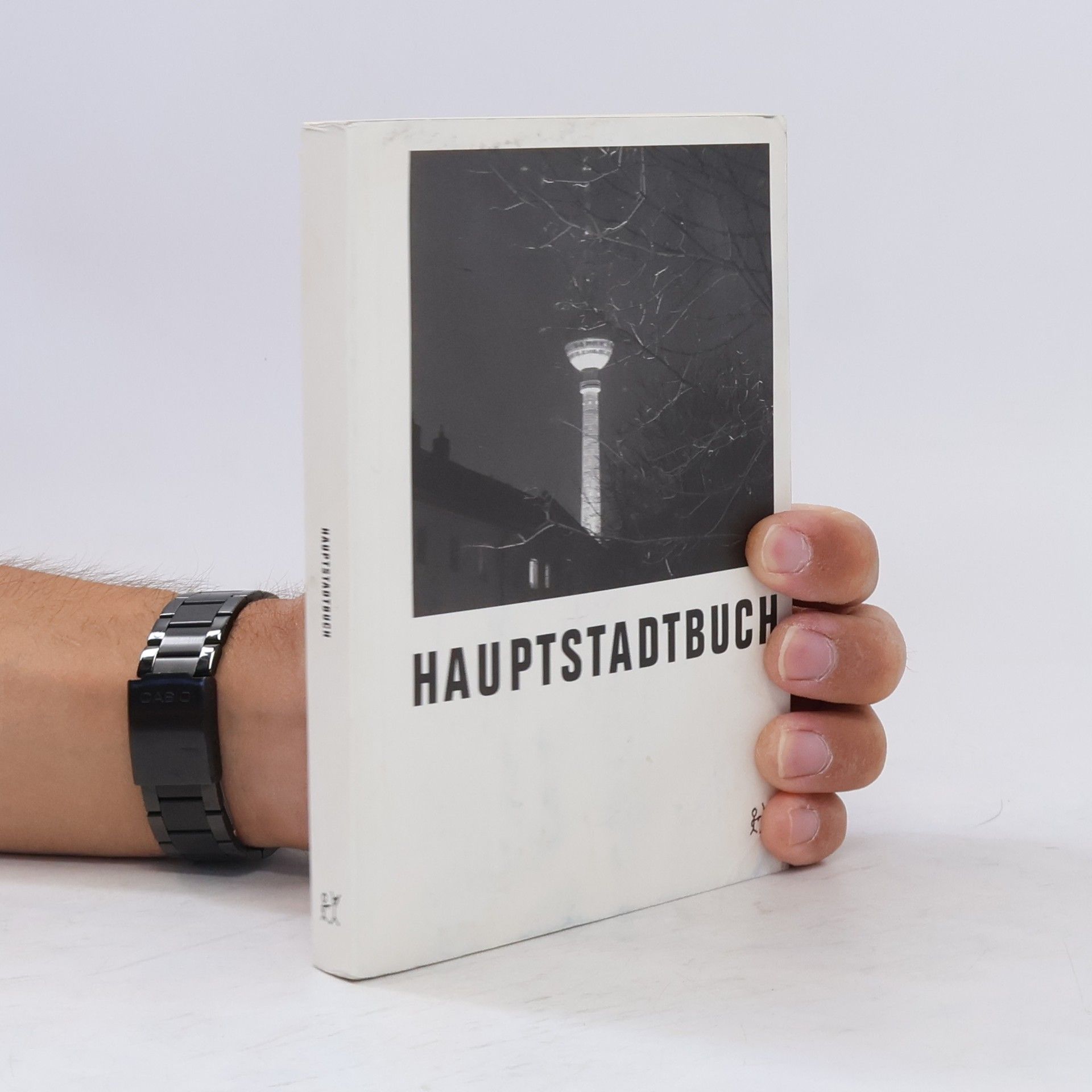 Werner Labisch Hauptstadtbuch