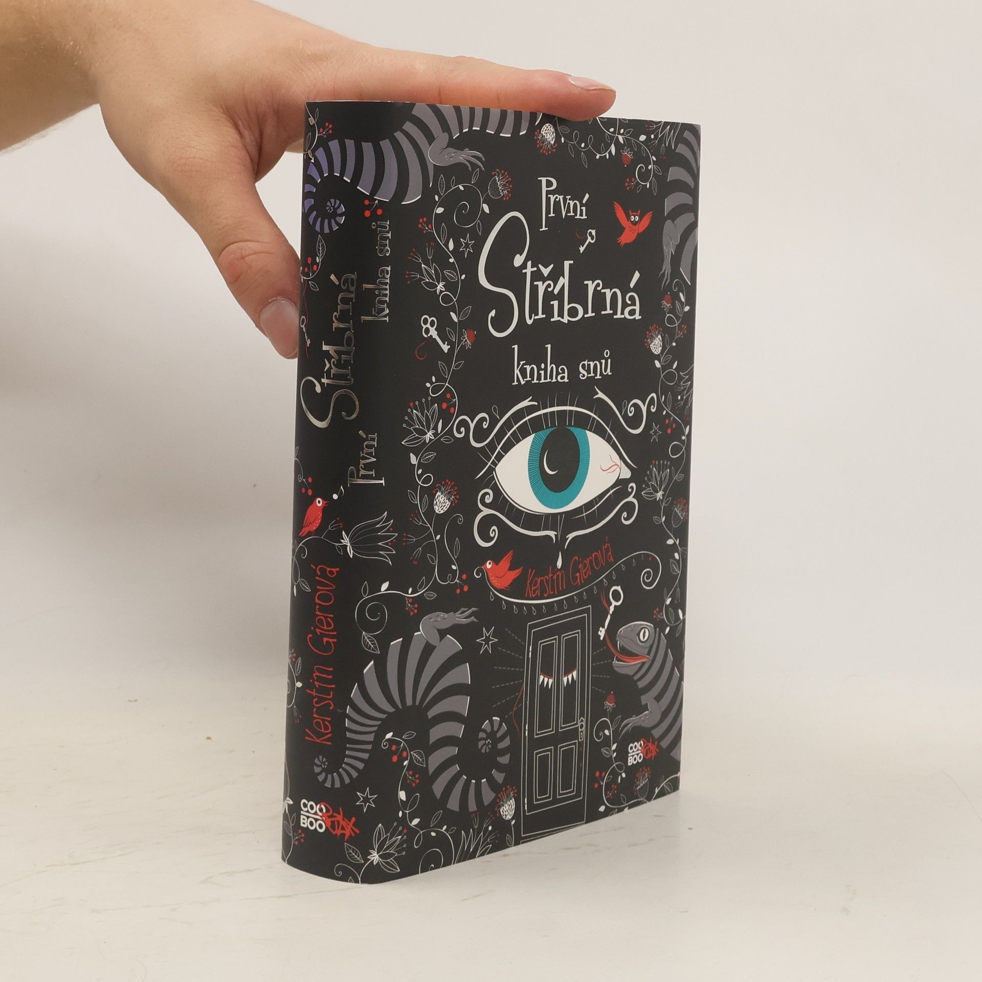 Kerstin Gier První stříbrná kniha snů