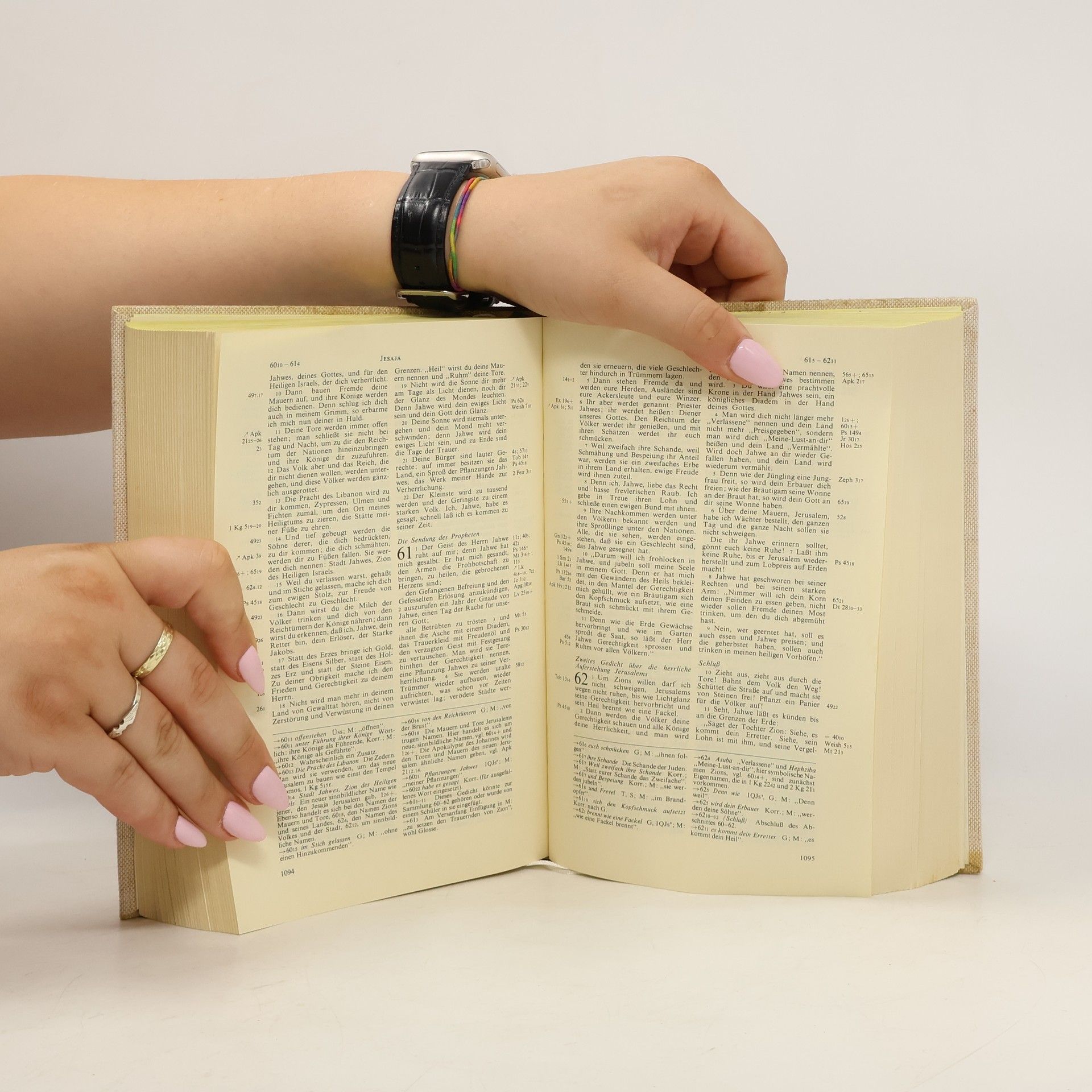 Kolektiv autorů Die Bibel