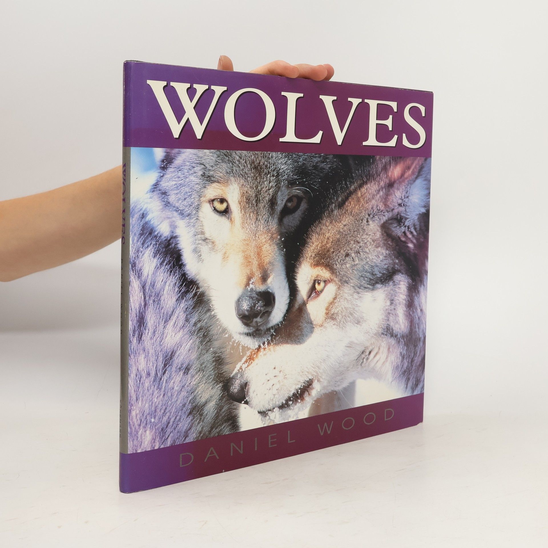 Daniel Wood Wolves