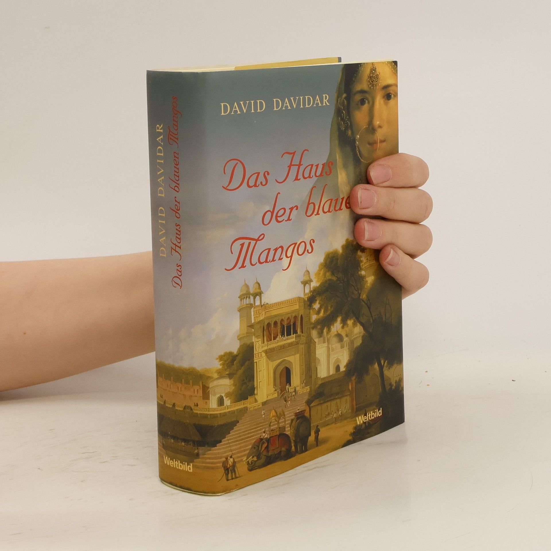 David Davidar Das Haus der blauen Mangos