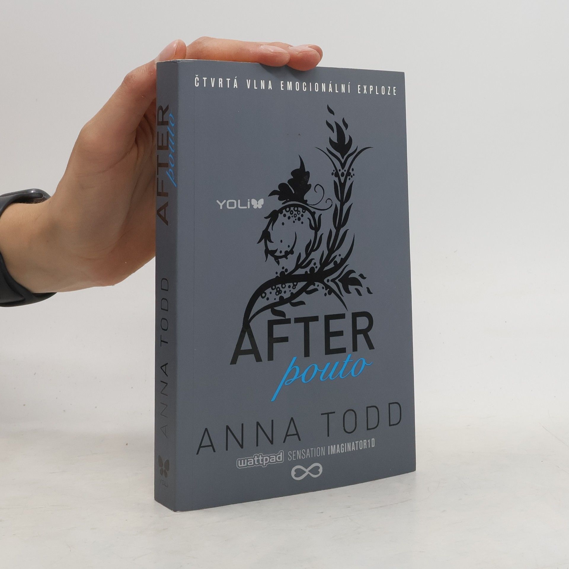 Anna Todd After. Pouto