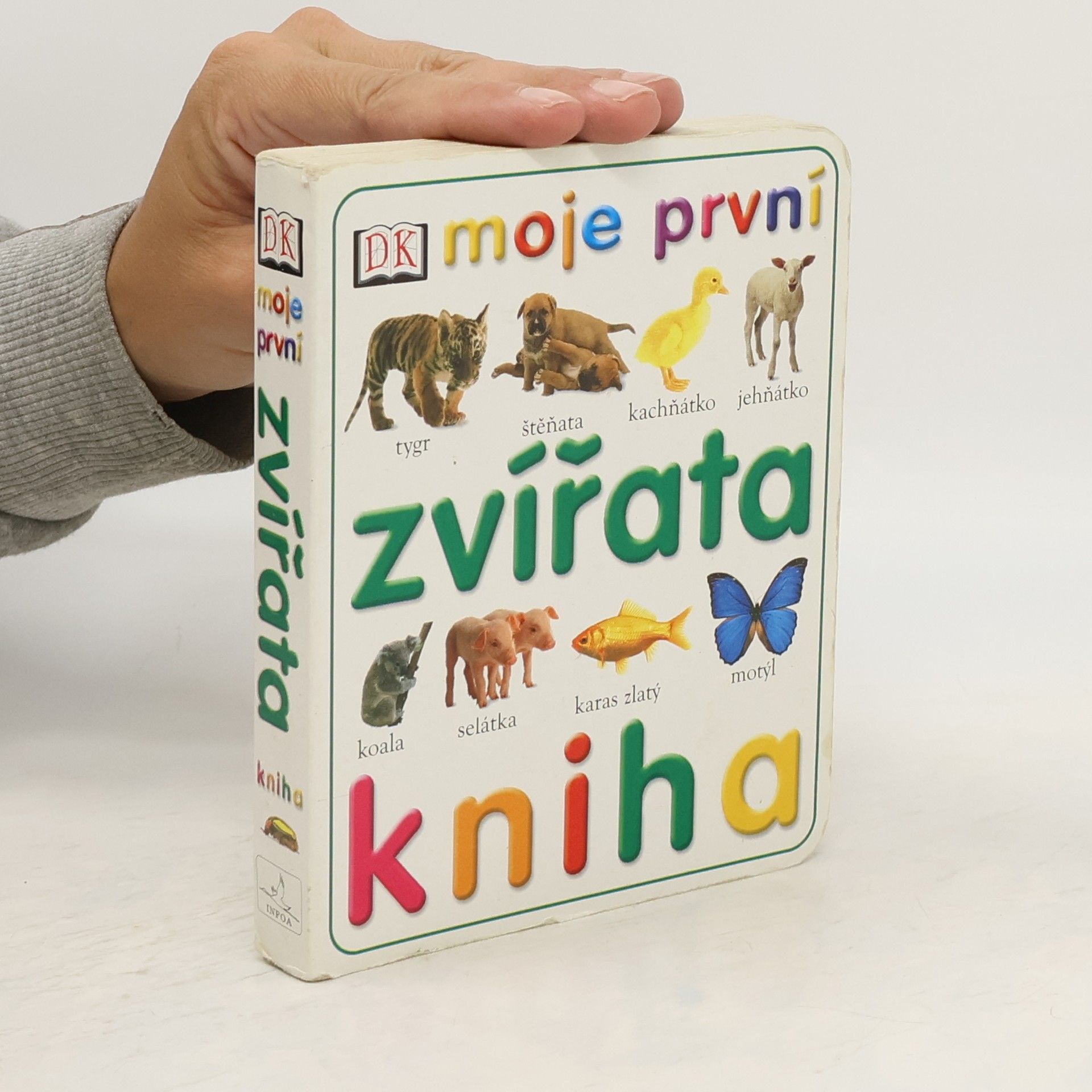 Collective Zvířata