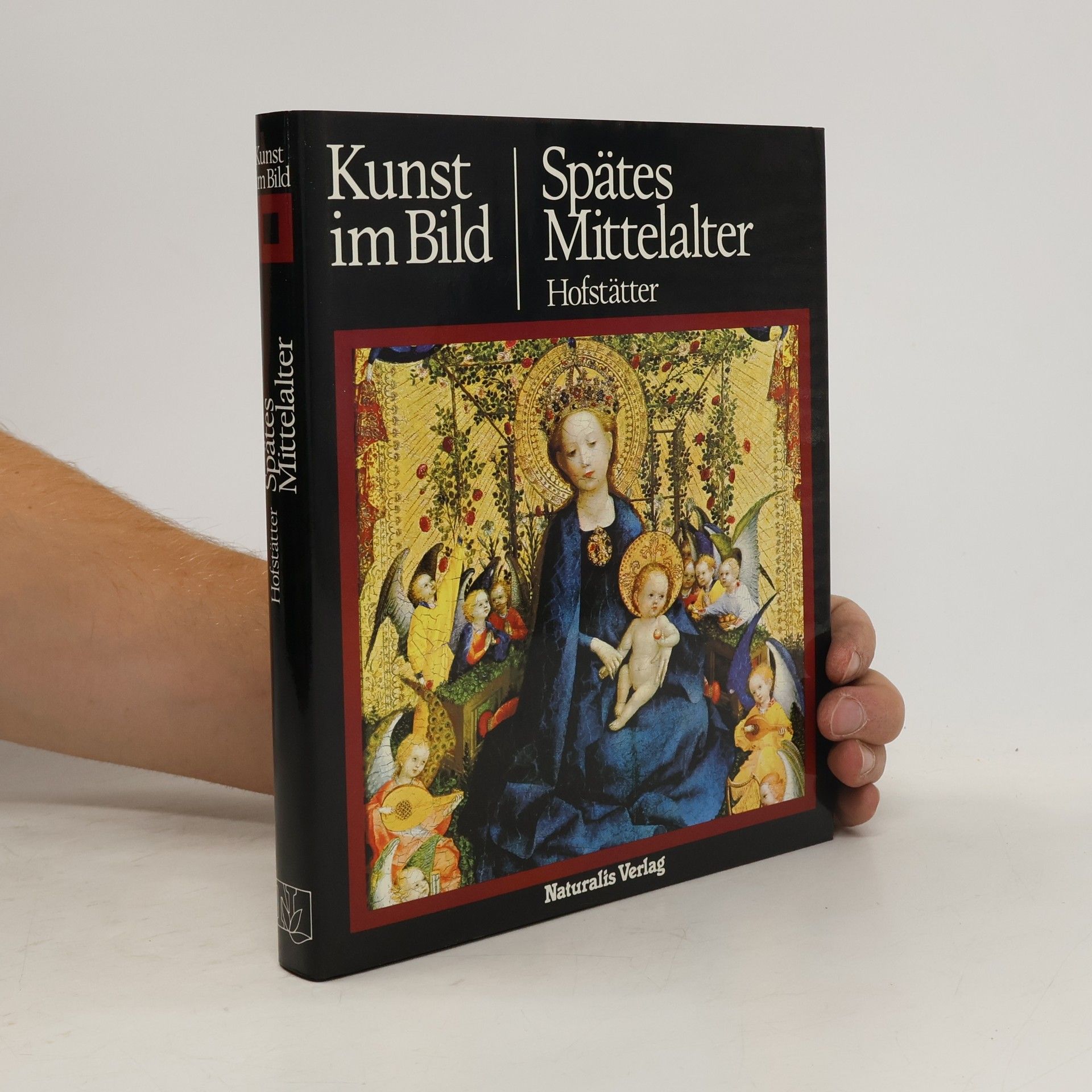 Hans Hofstatter Kunst im Bild: Spätes Mittelatler