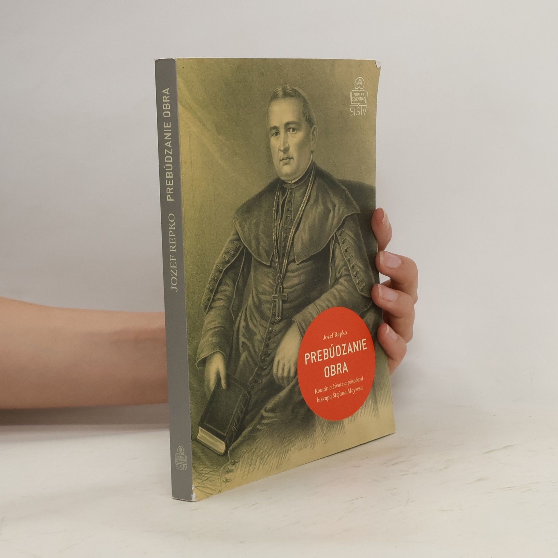 Jozef Repko Prebúdzanie obra