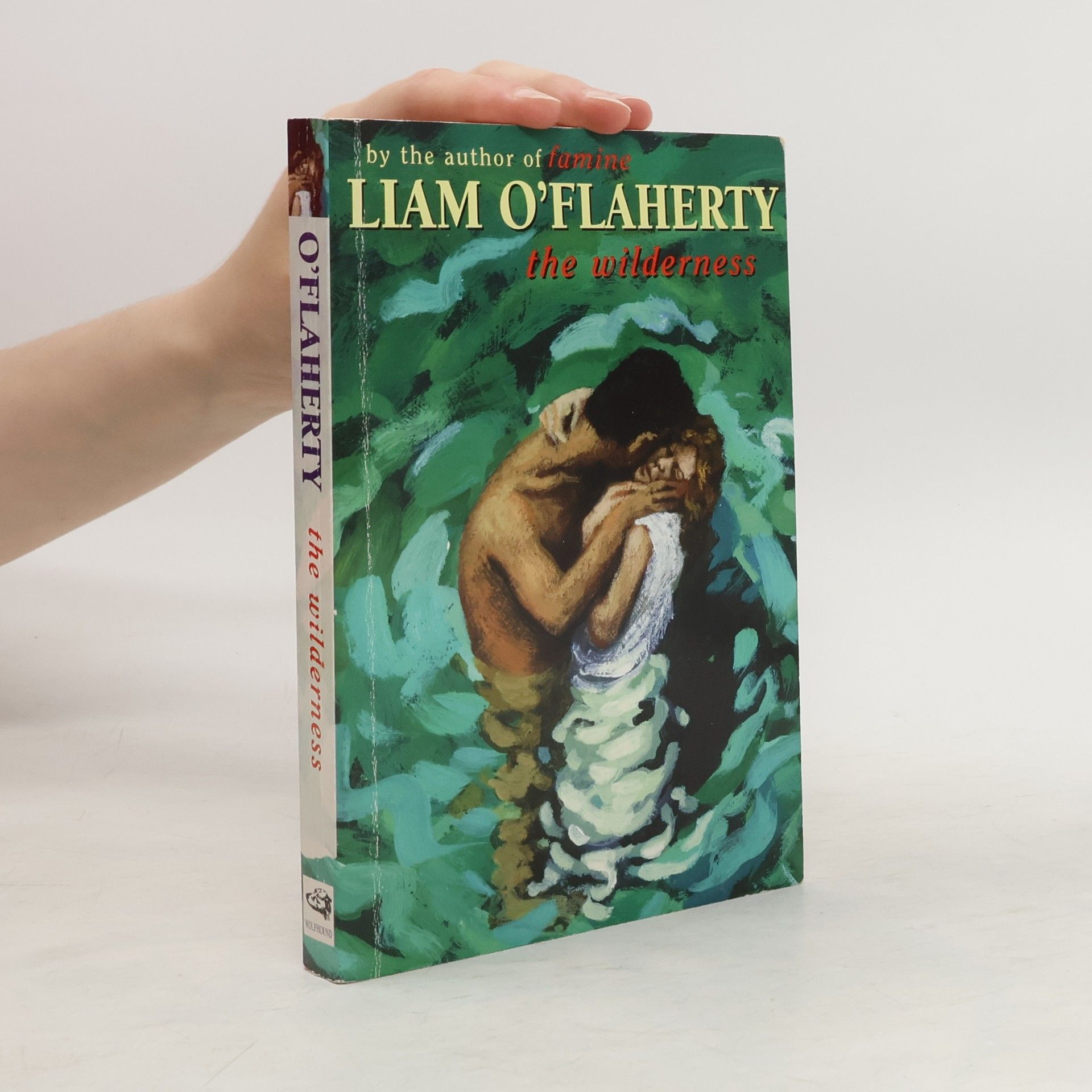 Liam O. Flaherty The Wilderness