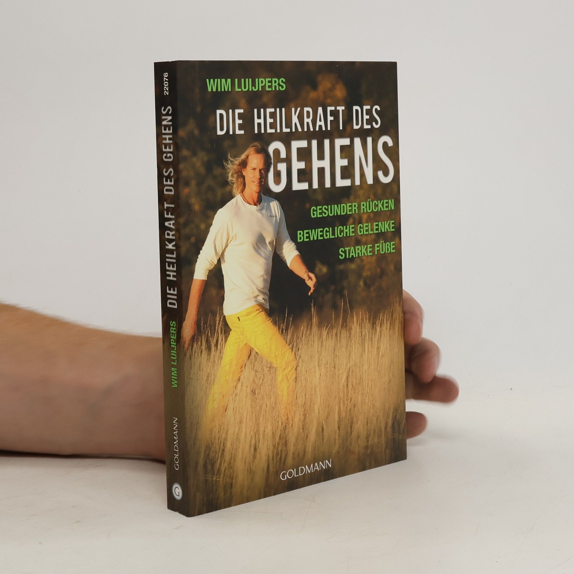 Wim Luijpers Die Heilkraft des Gehens