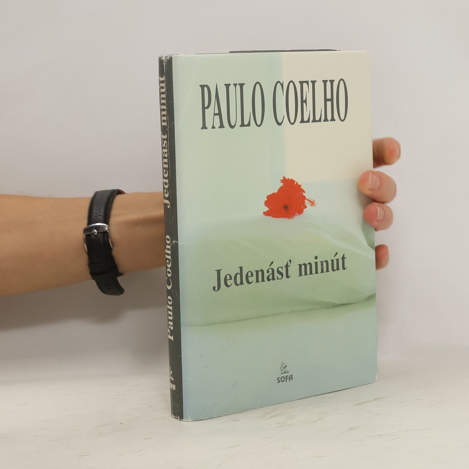 Paulo Coelho Jedenásť minút