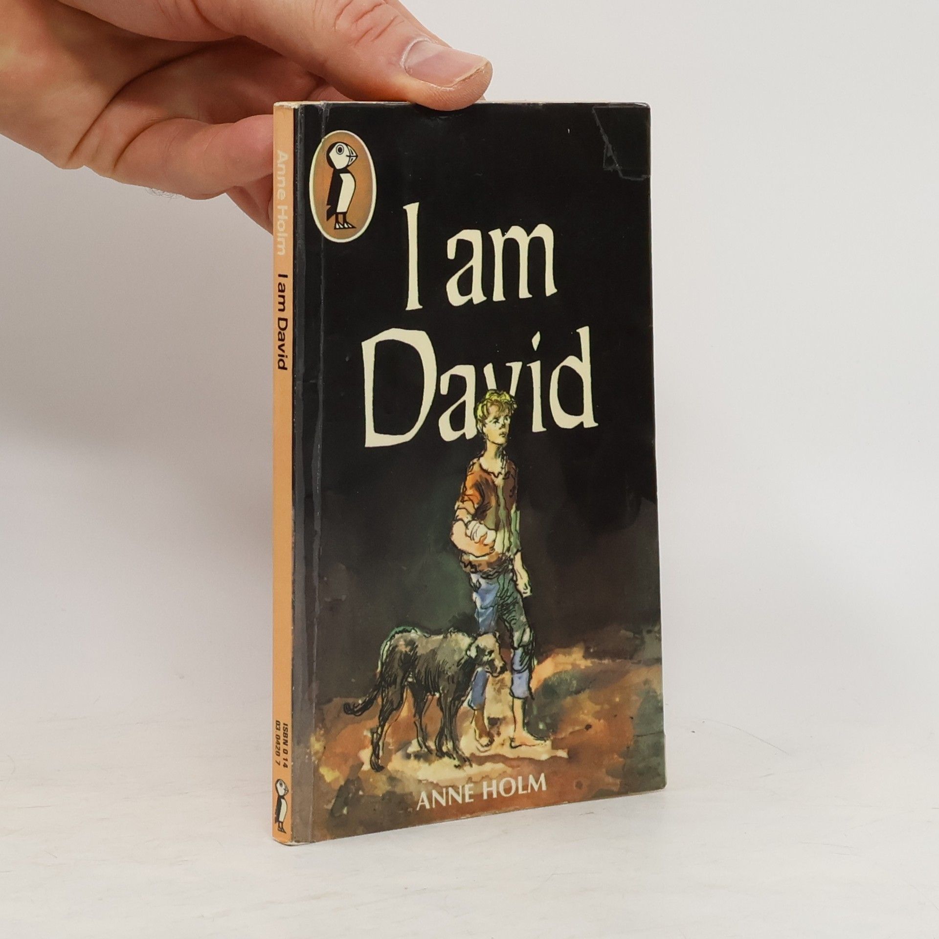 Anne Holm I Am David