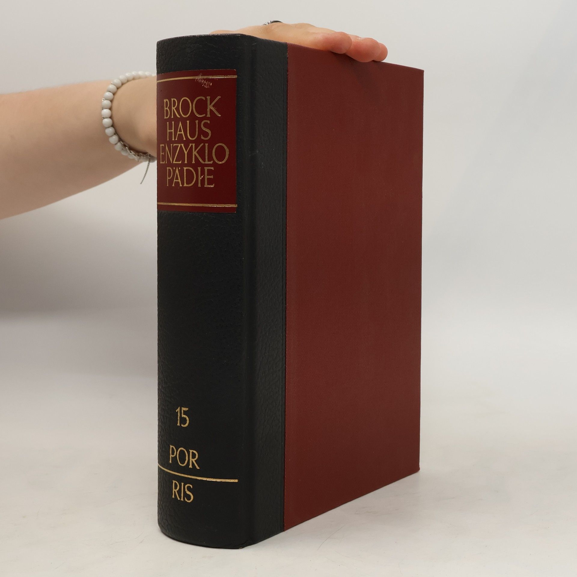Collectif d'auteurs Brockhaus Enzyklopädie 15 POR-RIS
