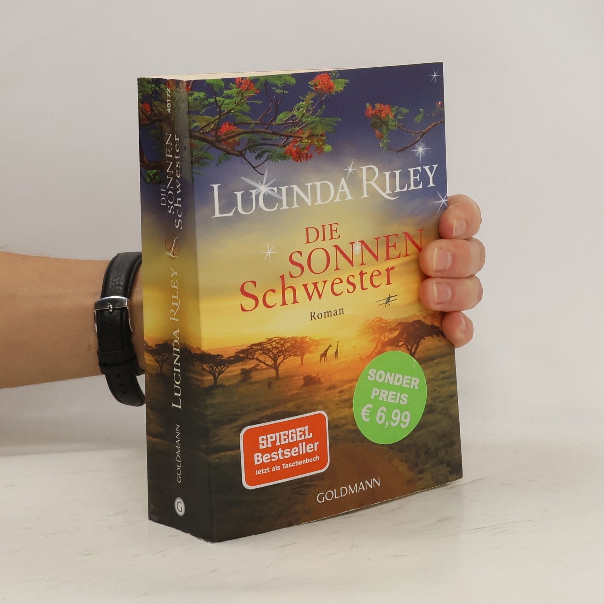 Lucinda Riley Die Sonnenschwester