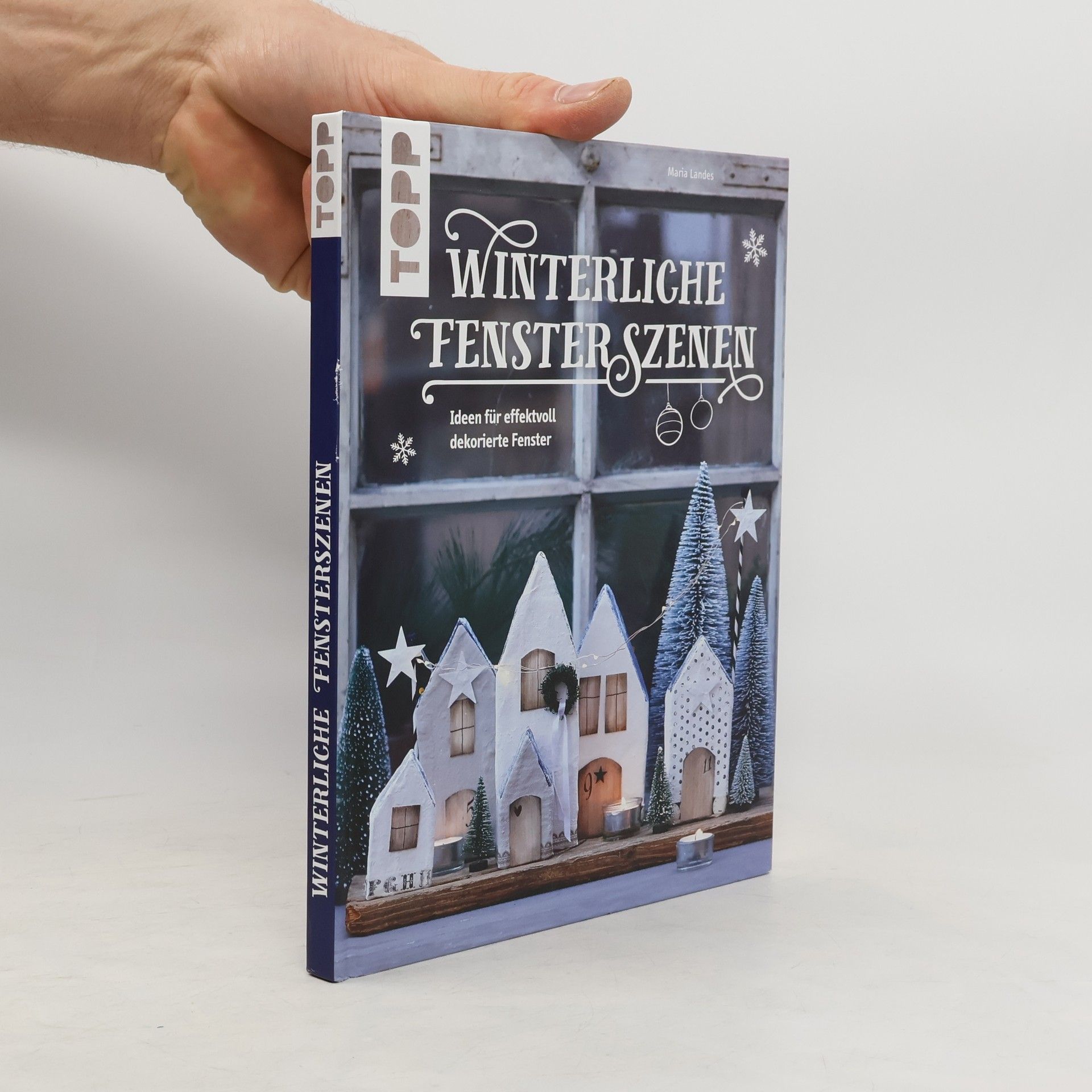 Maria Landes Winterliche Fensterszenen
