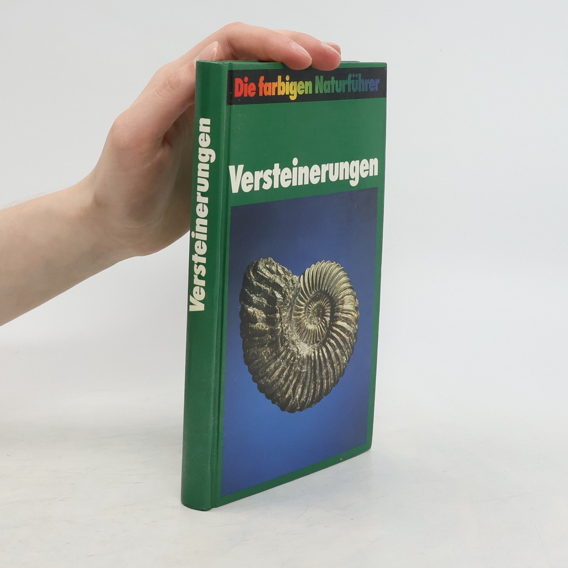 kolektiv Versteinerungen