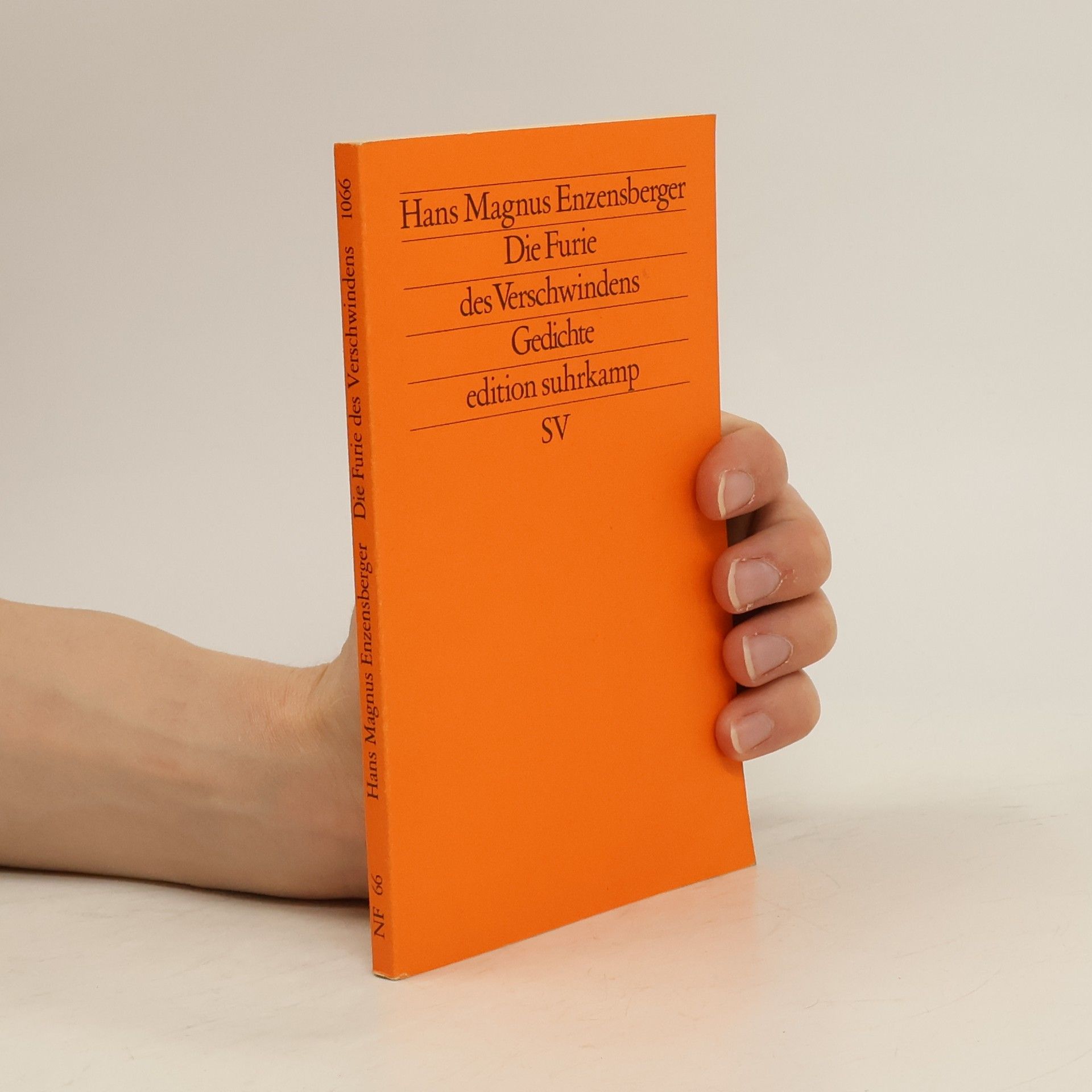 Hans Magnus Enzensberger Die Furie des Verschwindens