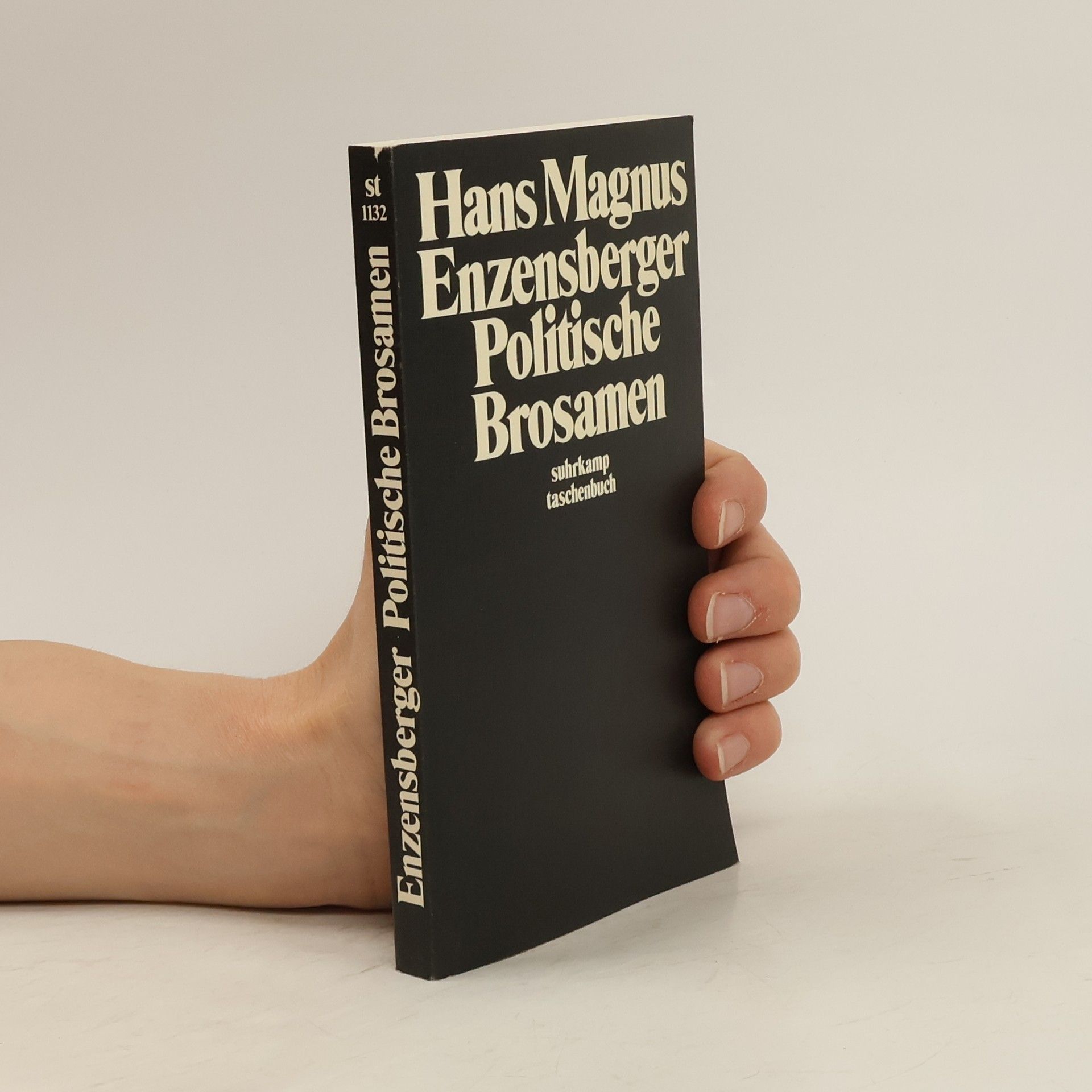 Hans Magnus Enzensberger Politische Brosamen