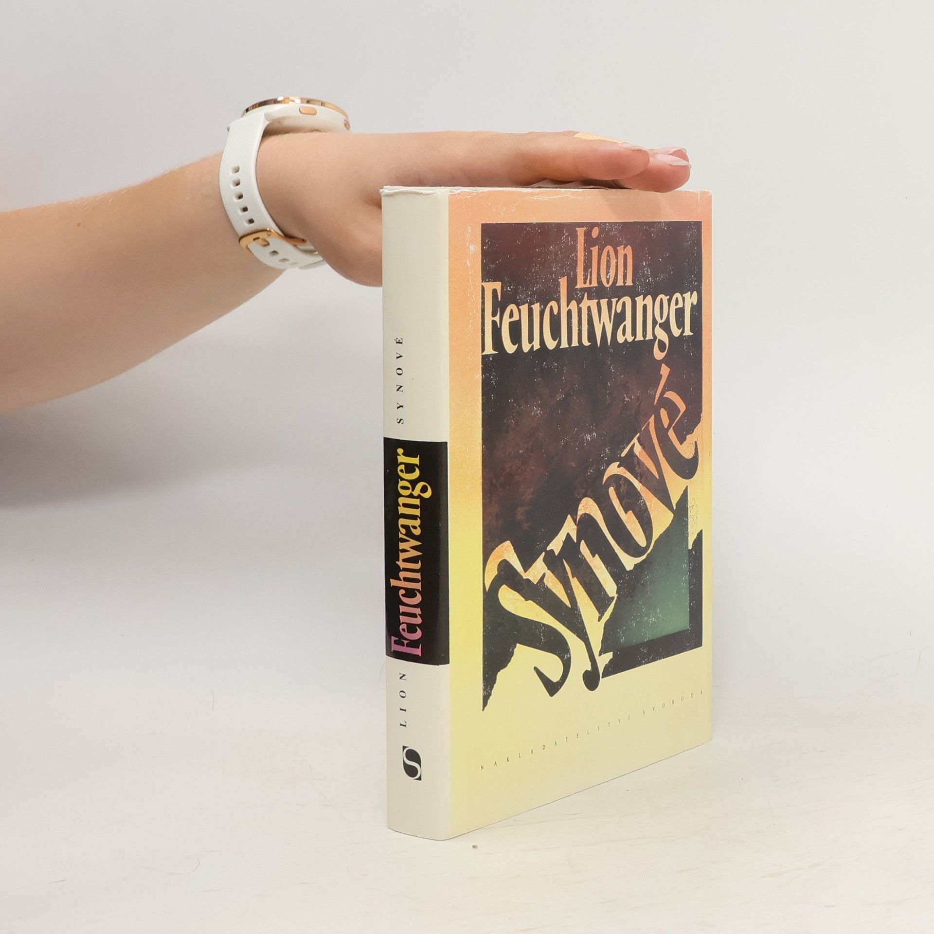 Lion Feuchtwanger Synové. 2. díl