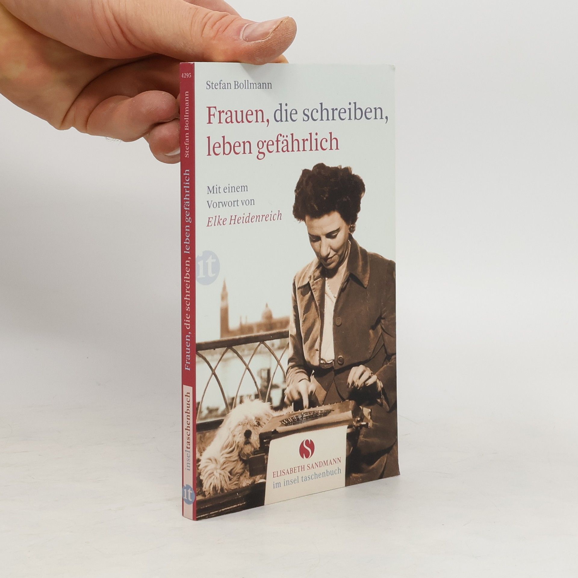 Stefan Bollmann Frauen, die schreiben, leben gefährlich