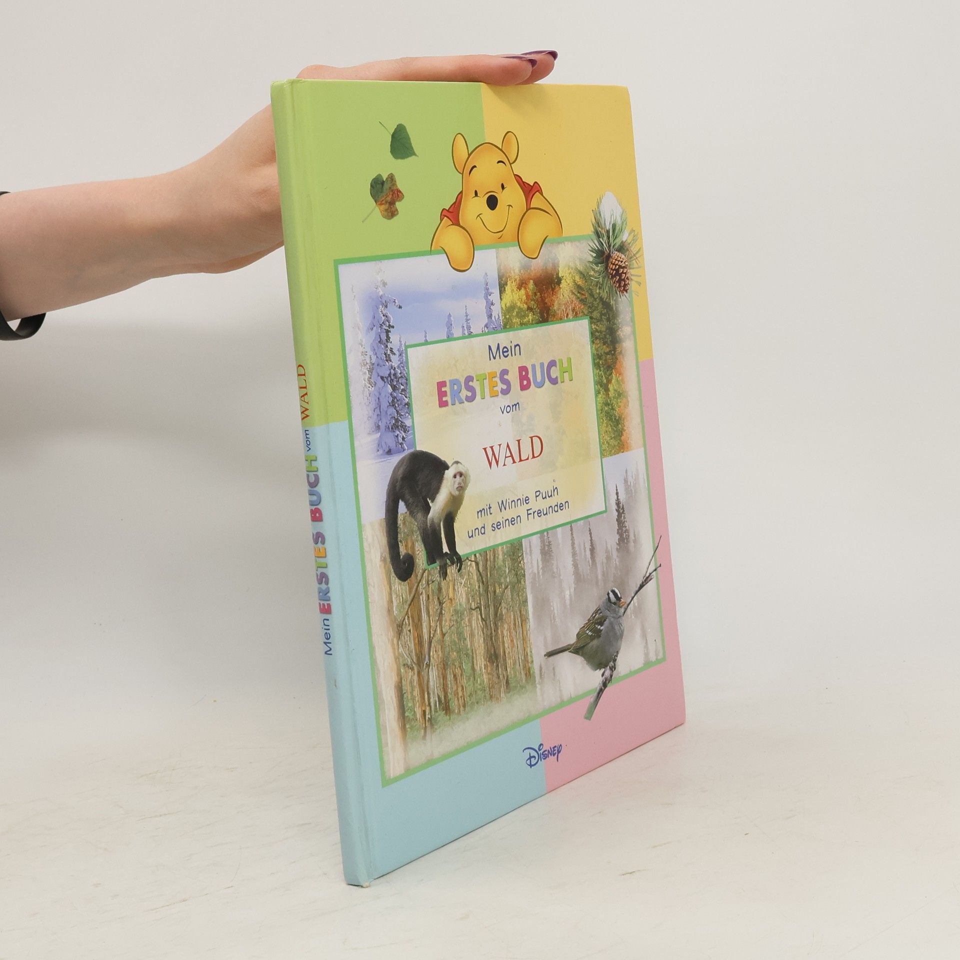 Autorenkollektiv Mein erstes buch vom Wald