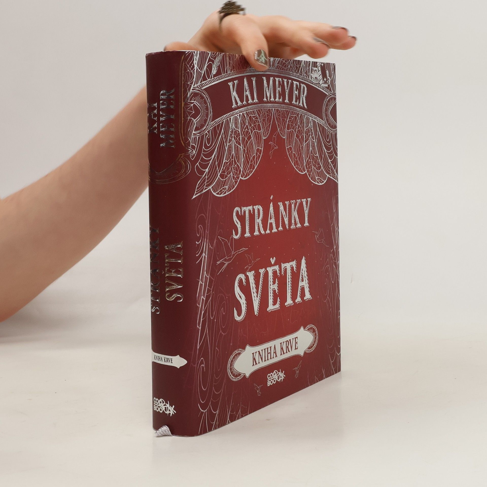 Kai Meyer Kniha krve. Stránky světa