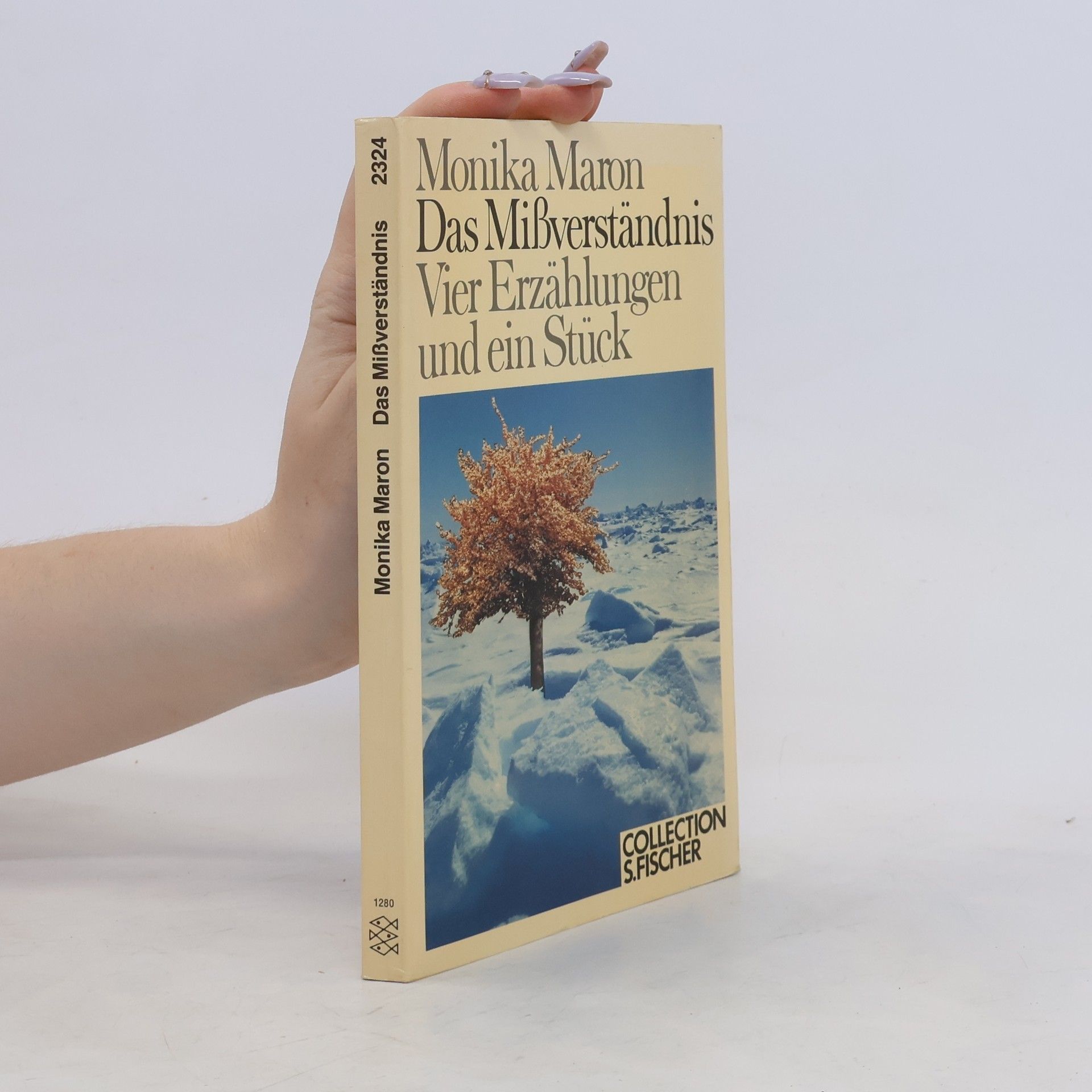 Monika Maron Das Mißverständnis