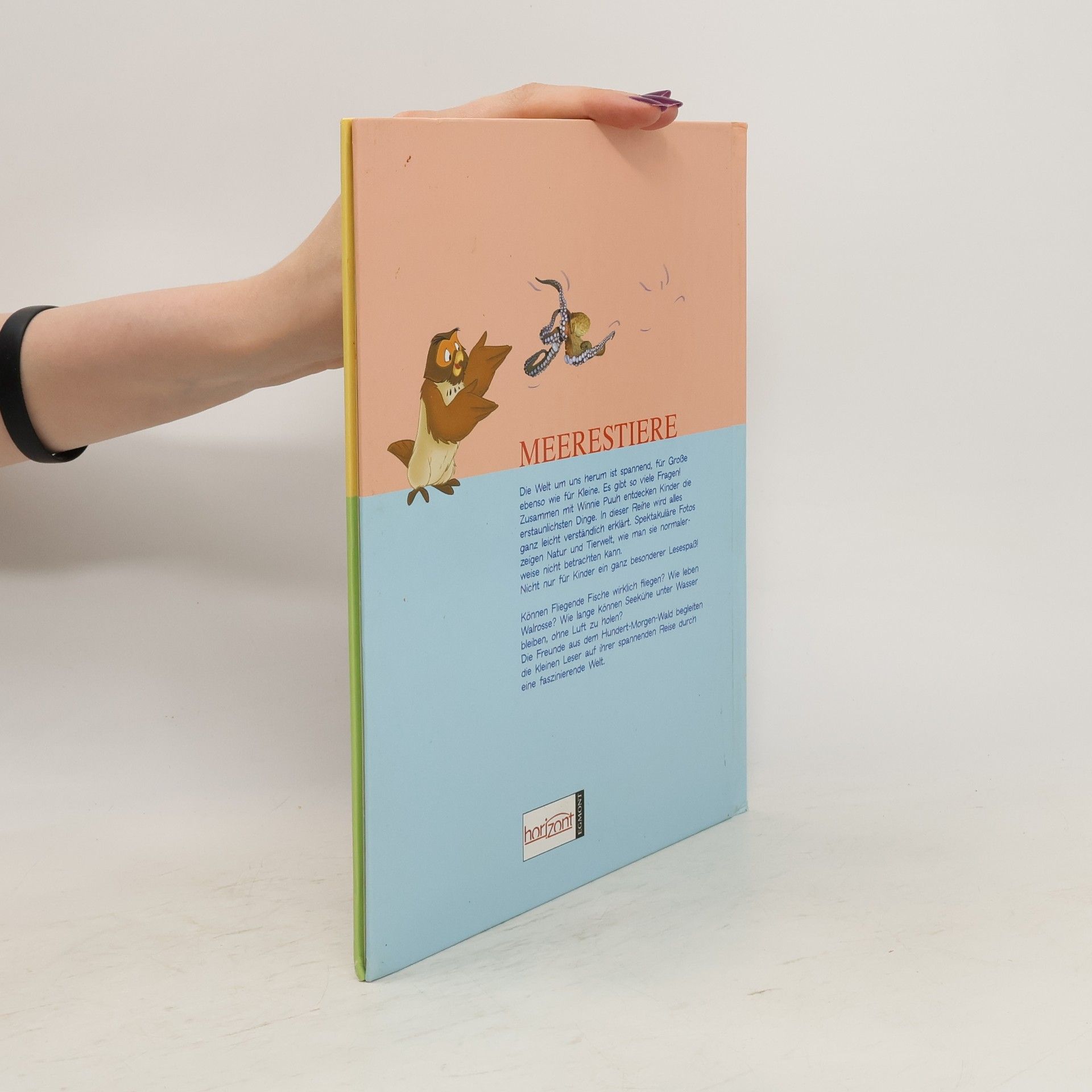 Collectif d'auteurs Mein Erstes Buch der Meerestiere. Mit Winnie Puuh und seinen Freunden