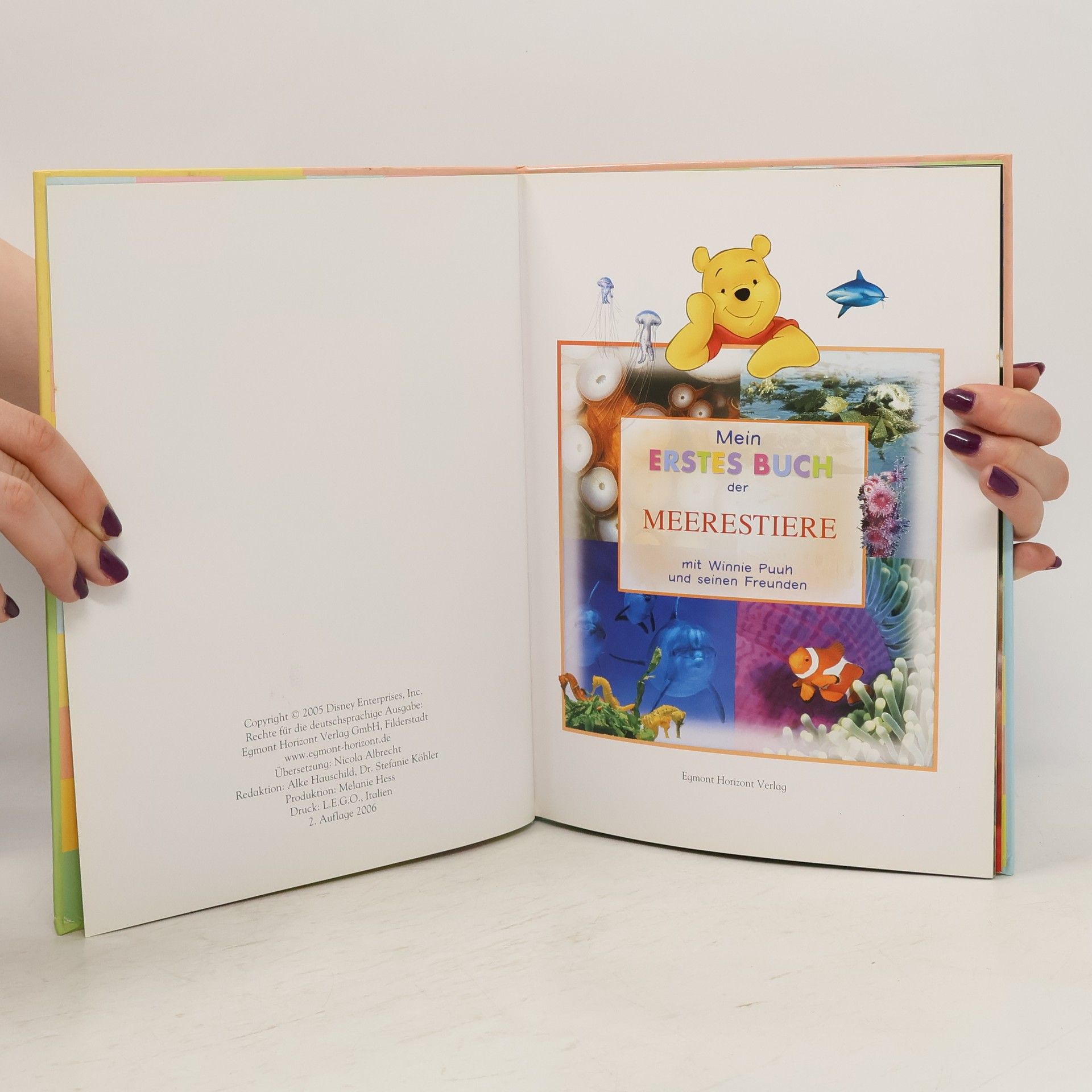 Collectif d'auteurs Mein Erstes Buch der Meerestiere. Mit Winnie Puuh und seinen Freunden