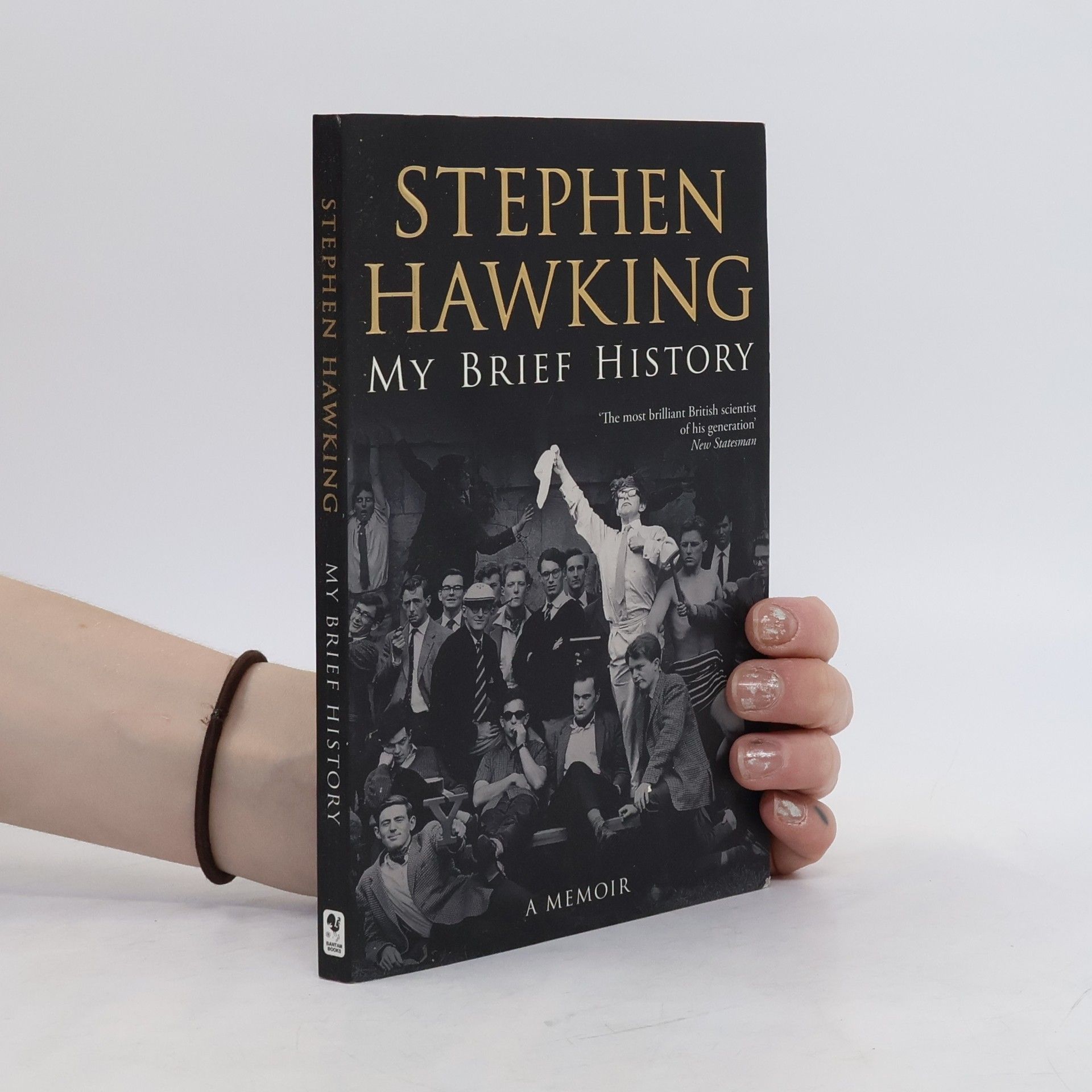 Stephen Hawking My Brief History