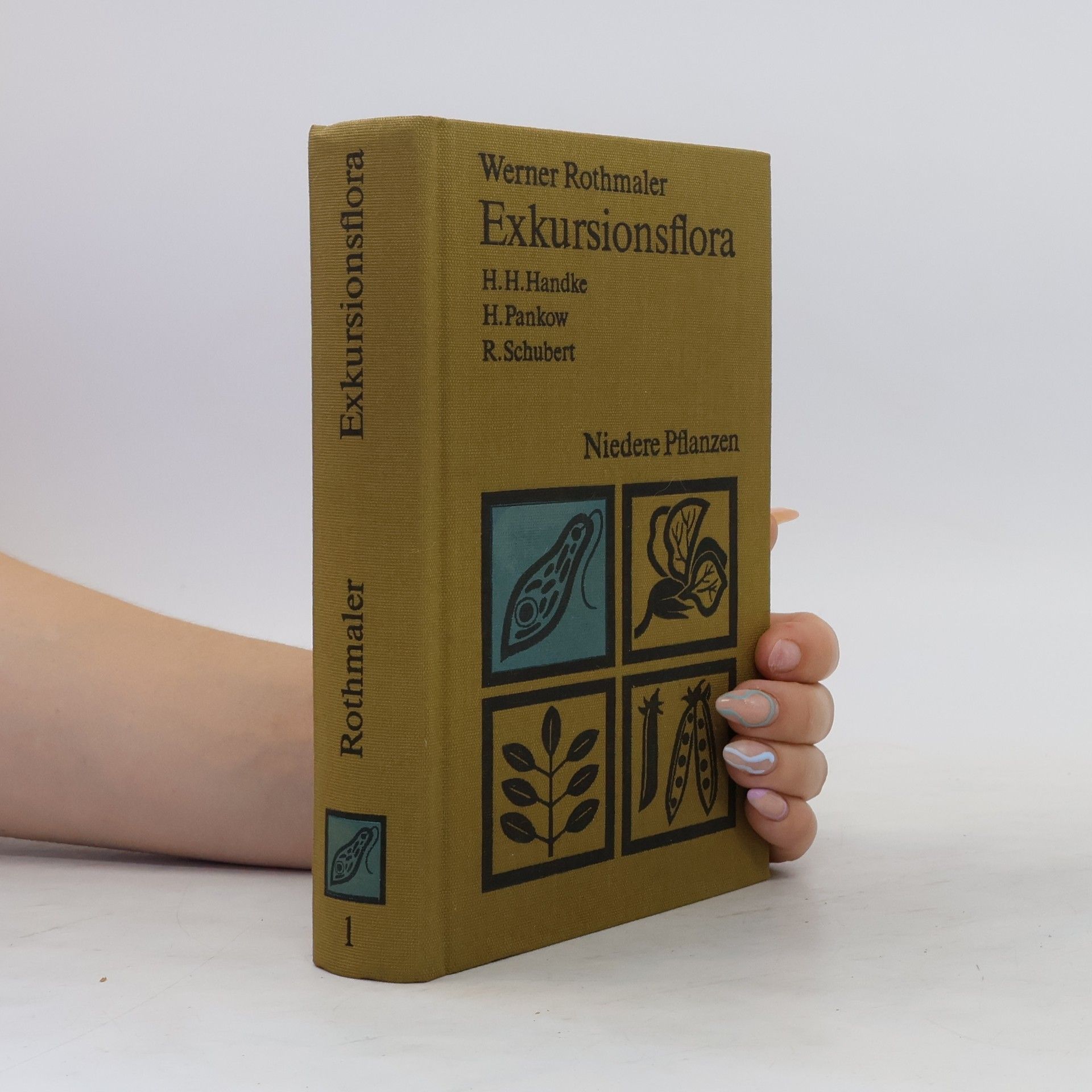 Werner Rothmaler Exkursionsflora 1