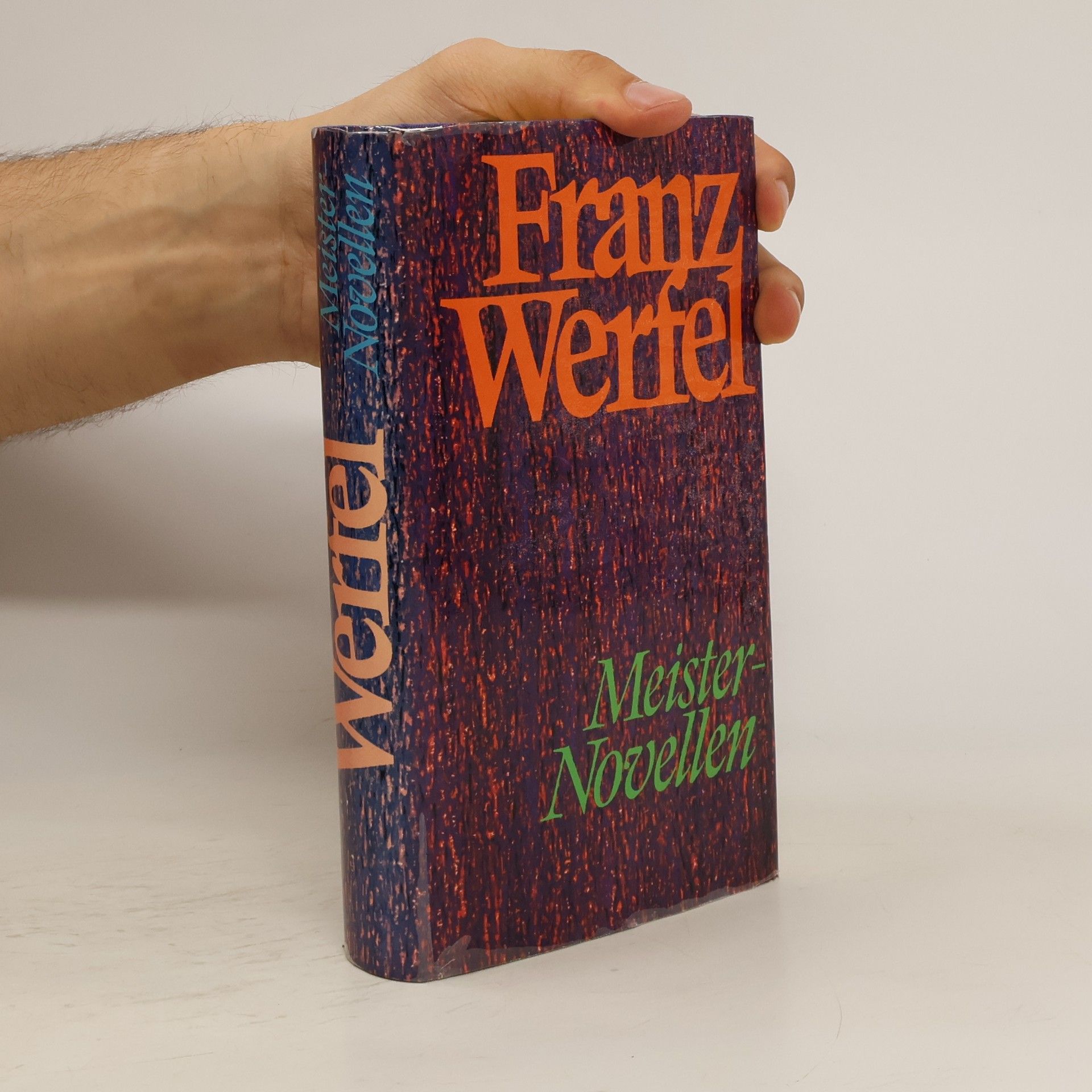Franz Werfel Meister Novellen
